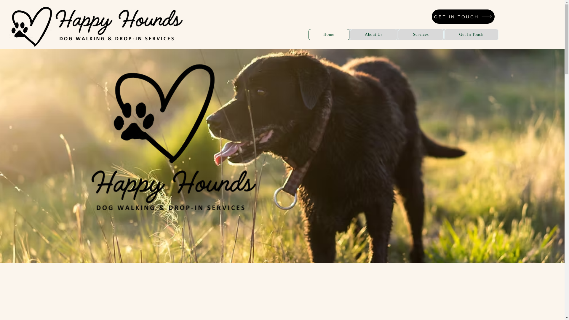 website screenshot of https://plymouthdogwalker.co.uk/