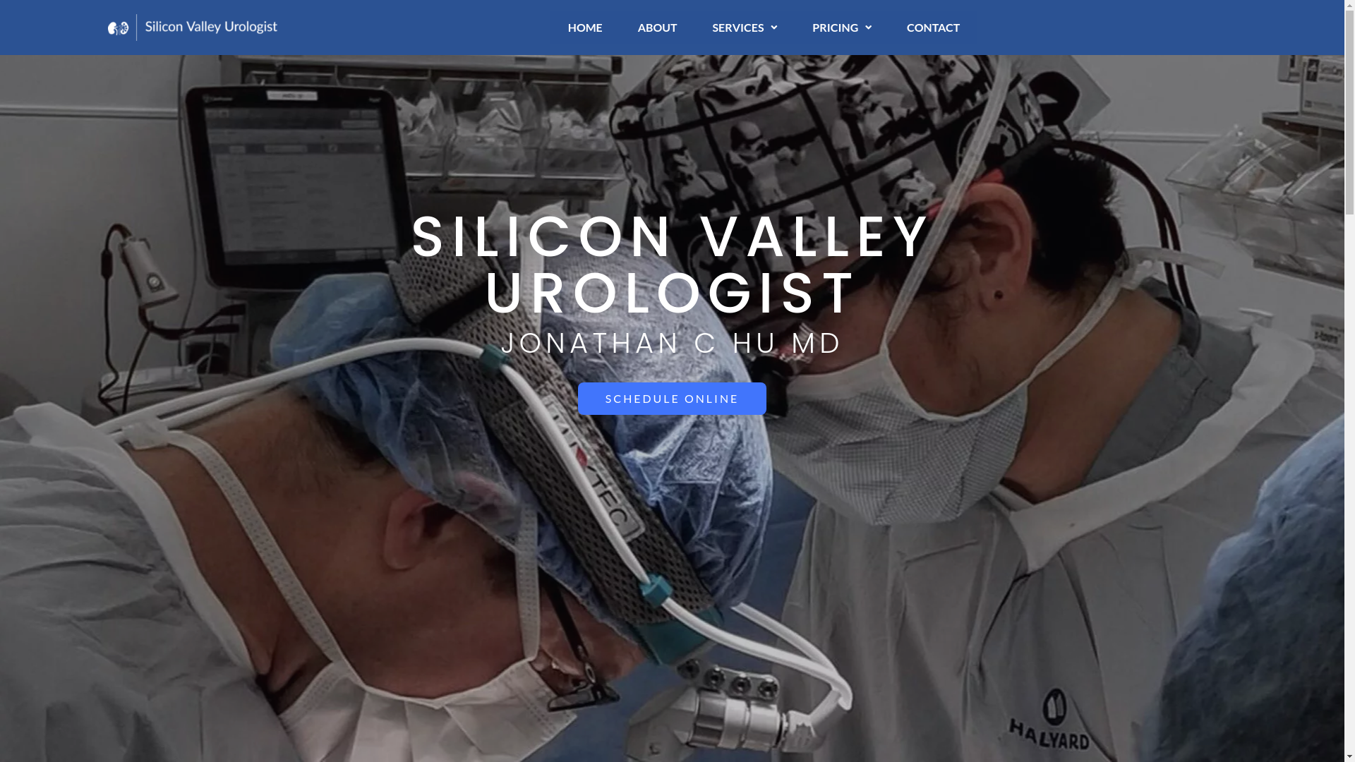 website screenshot of https://santacruzurology.com/