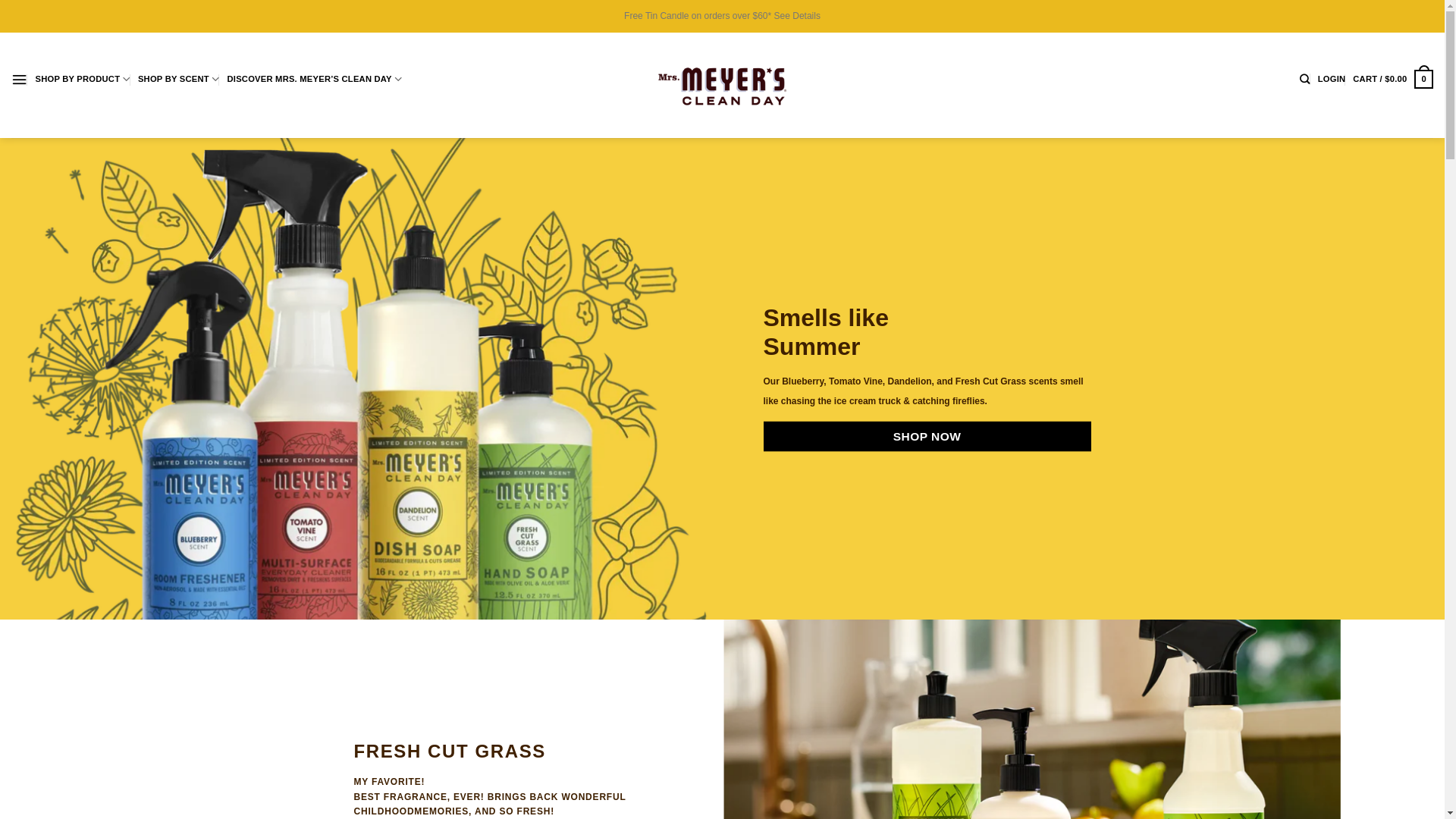 website screenshot of https://mrsmeyeres.top/