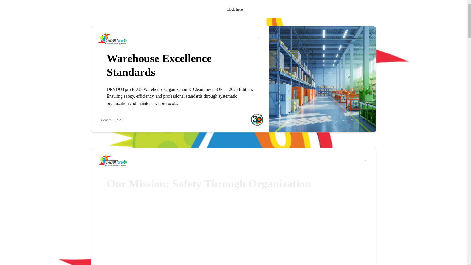 website screenshot of https://drydockproflo.com/