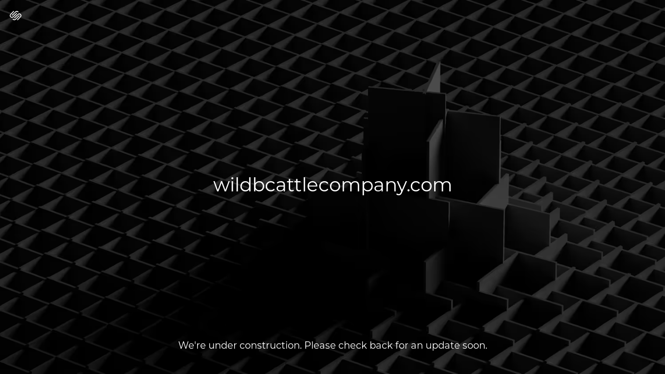 website screenshot of https://wildbcattlecompany.com/