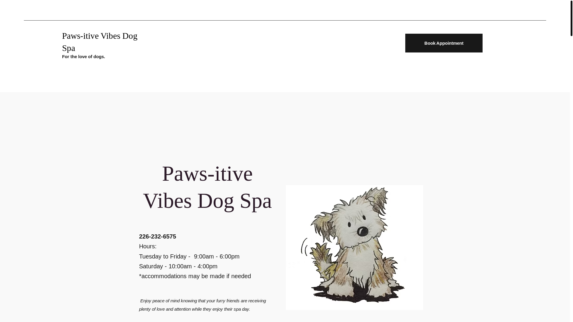 website screenshot of https://pawsitivevibesdogspa.ca/