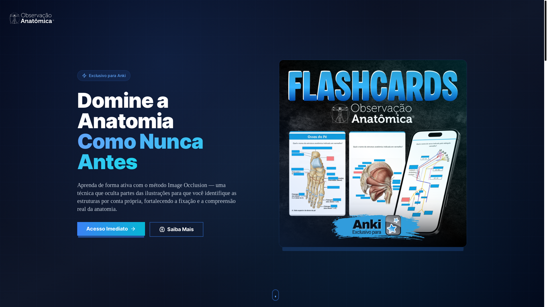 website screenshot of https://flashcardsanatomia.com/