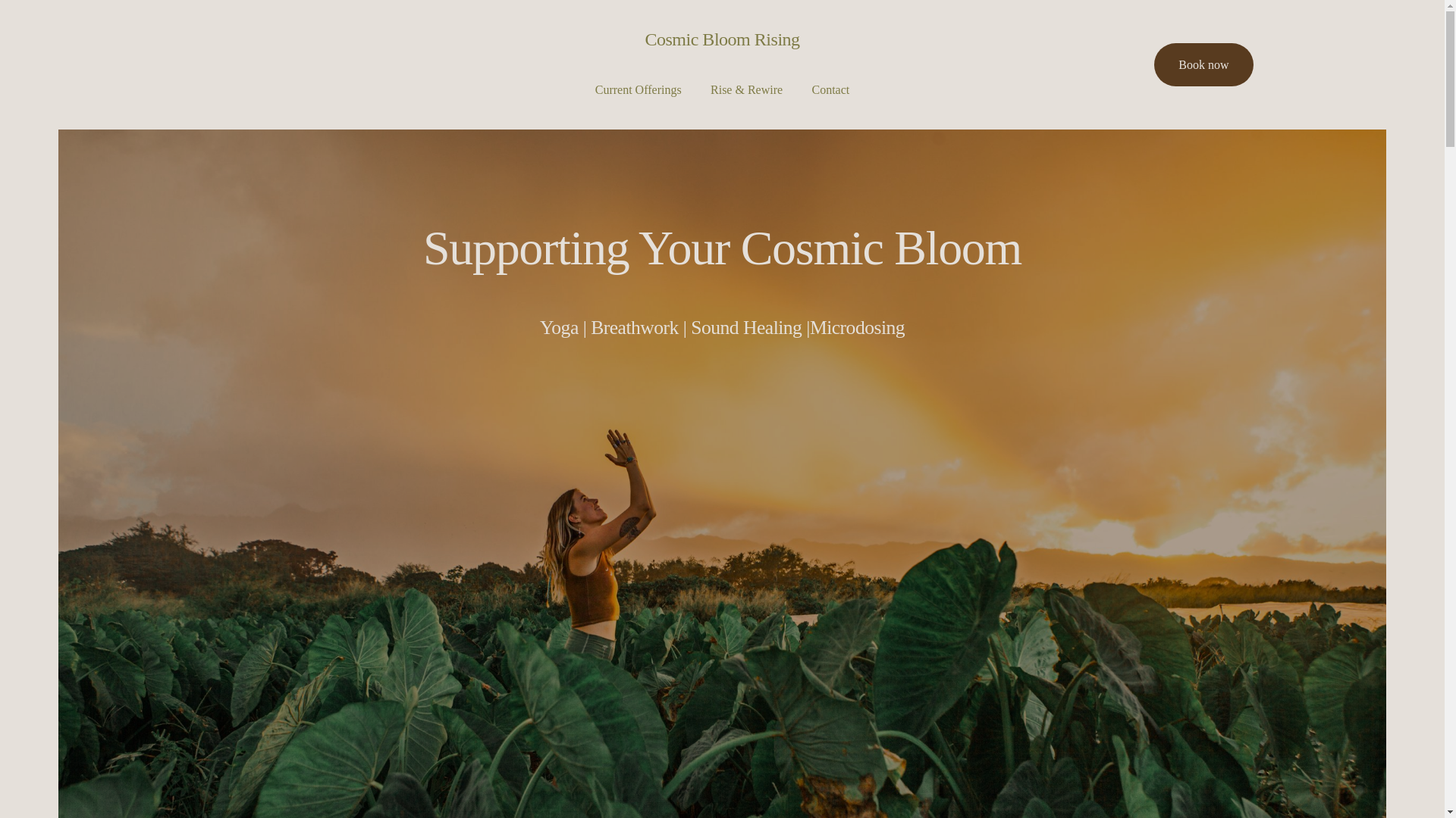 website screenshot of https://cosmicbloomrising.com/