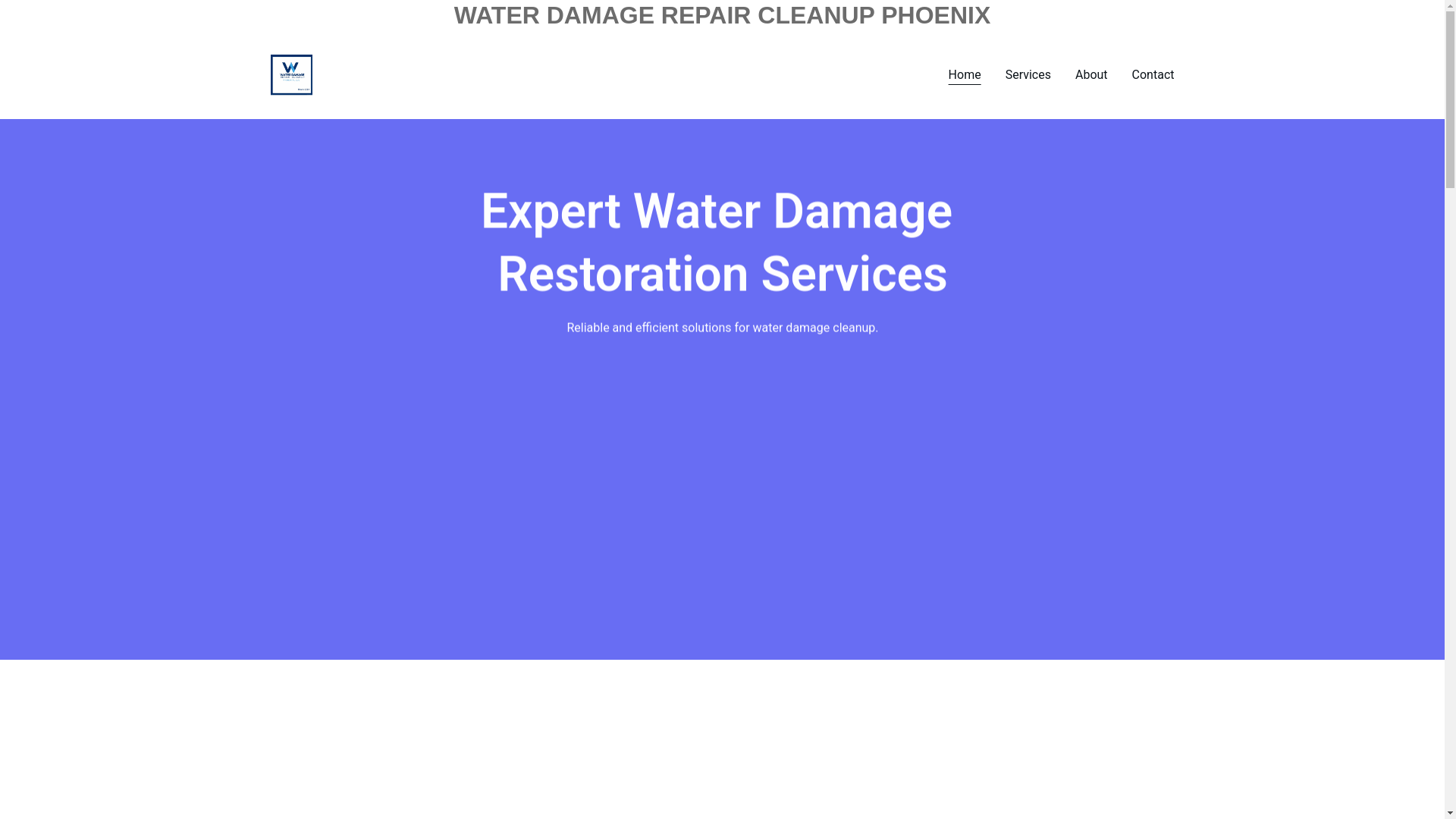 website screenshot of https://waterdamagerepaircleanupphoenixllc.online/