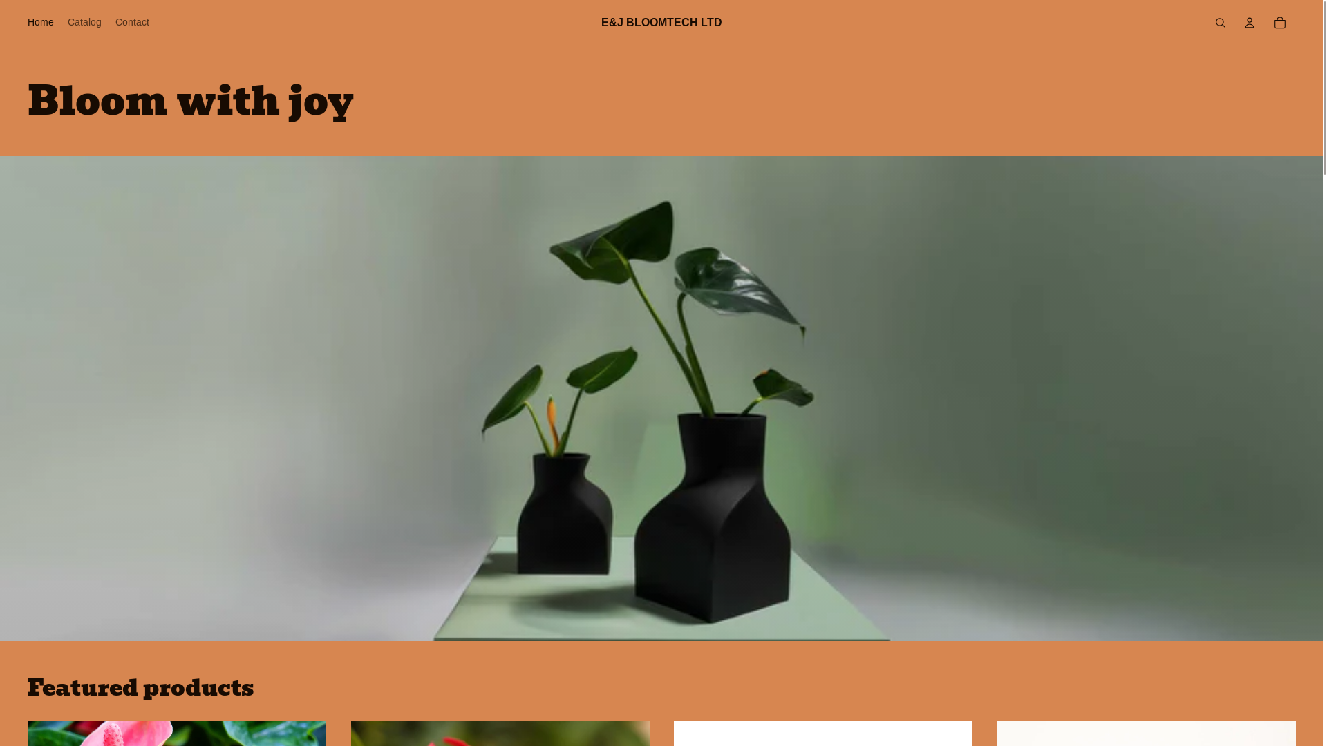 website screenshot of https://ejbloomtechltd.com/