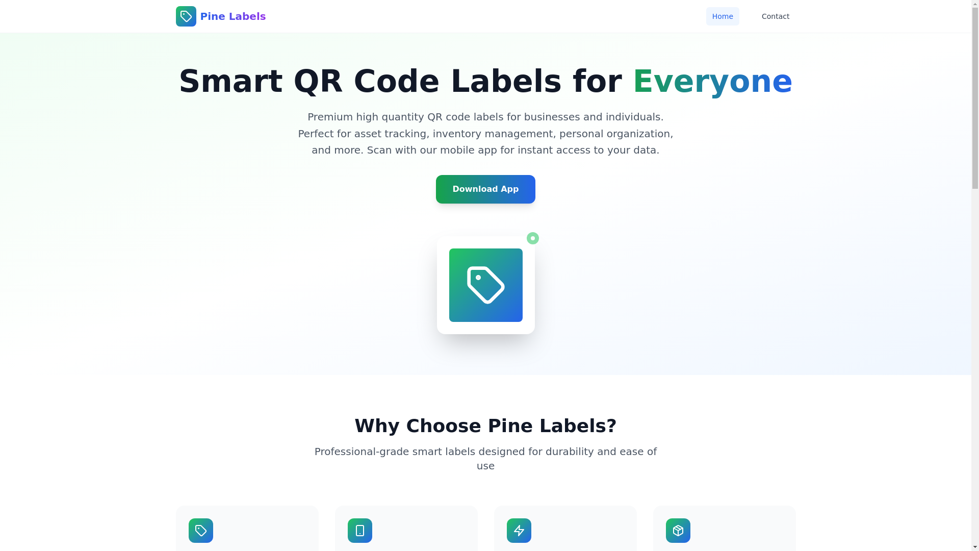 website screenshot of https://pinelabels-fslrrk1wxwm.pages.dev/
