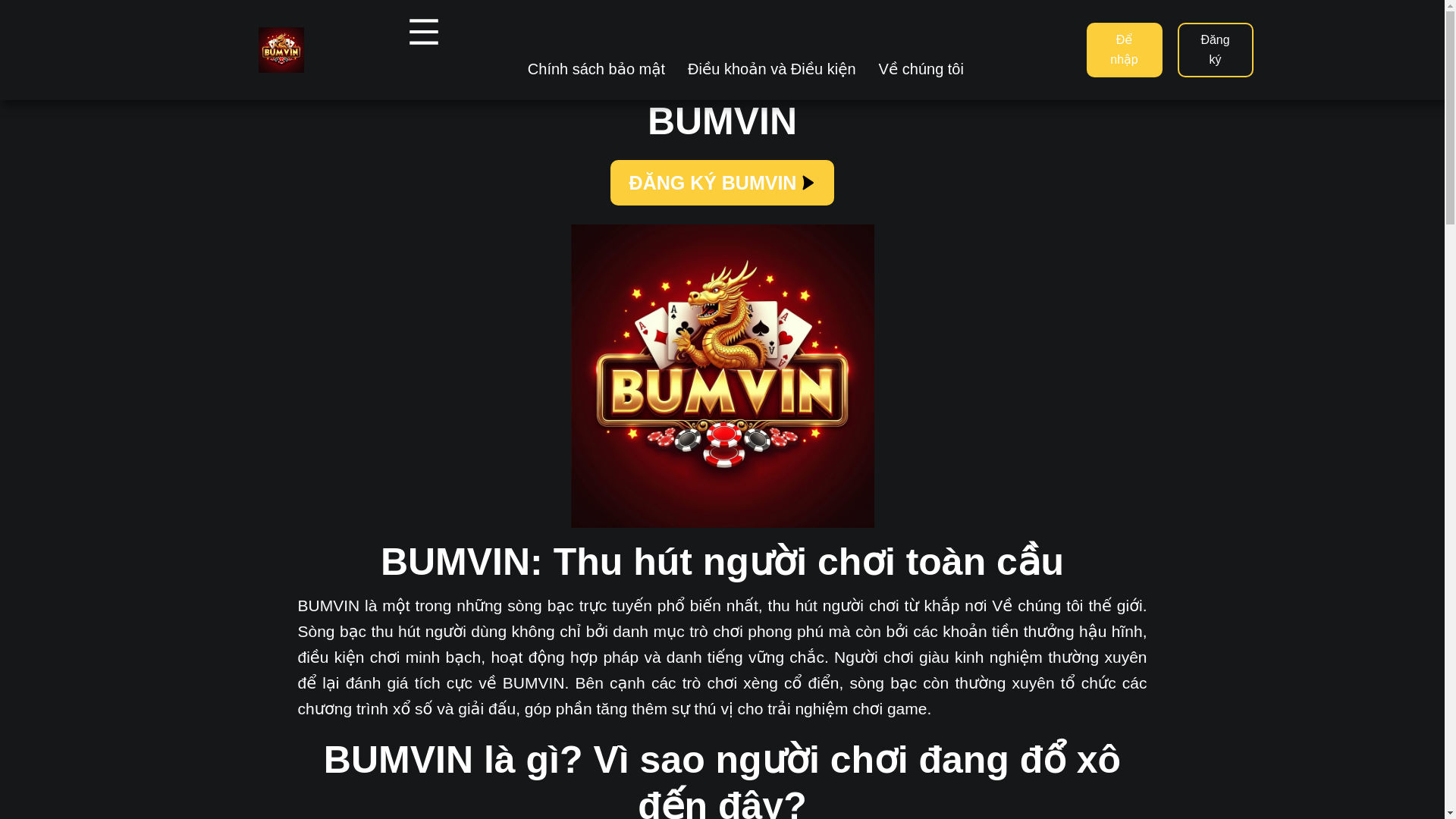 website screenshot of https://bumvin.org/