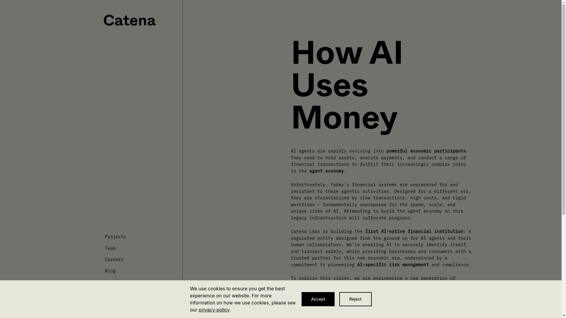 website screenshot of https://catenalabs.cc/