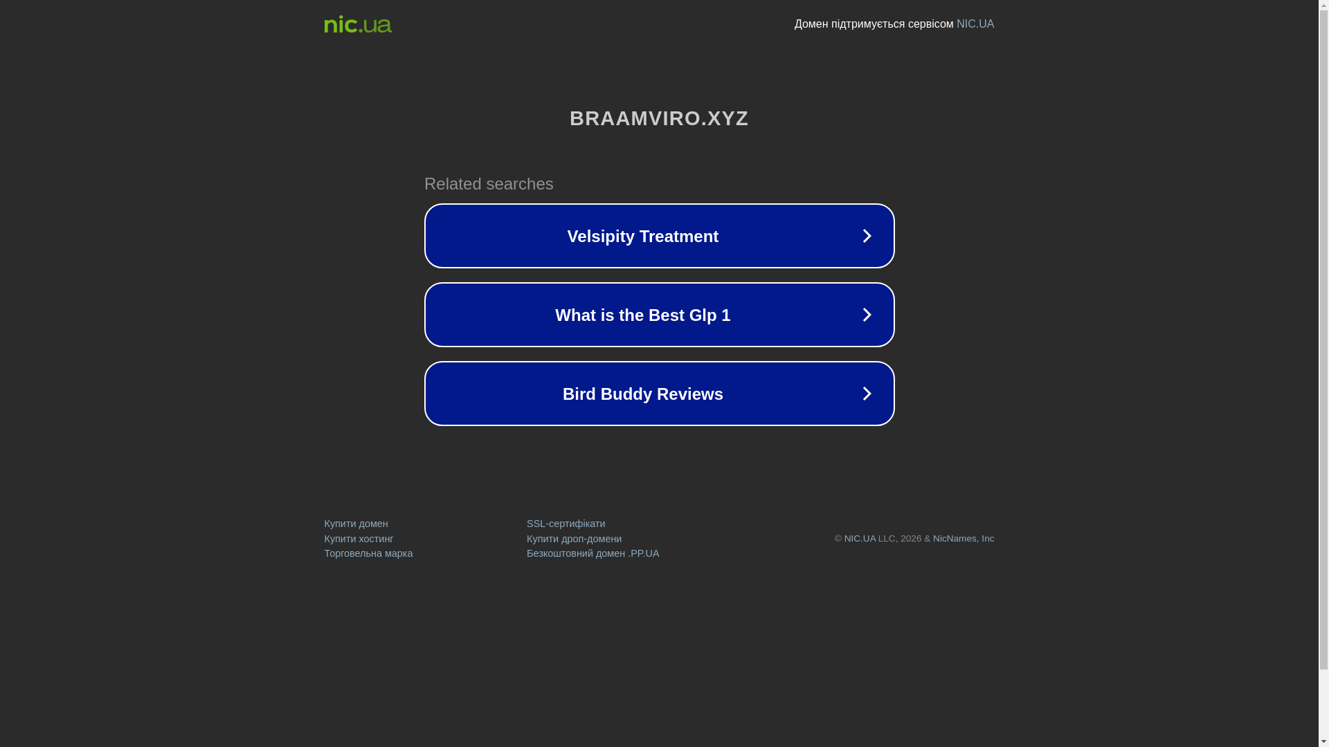 website screenshot of https://braamviro.xyz/