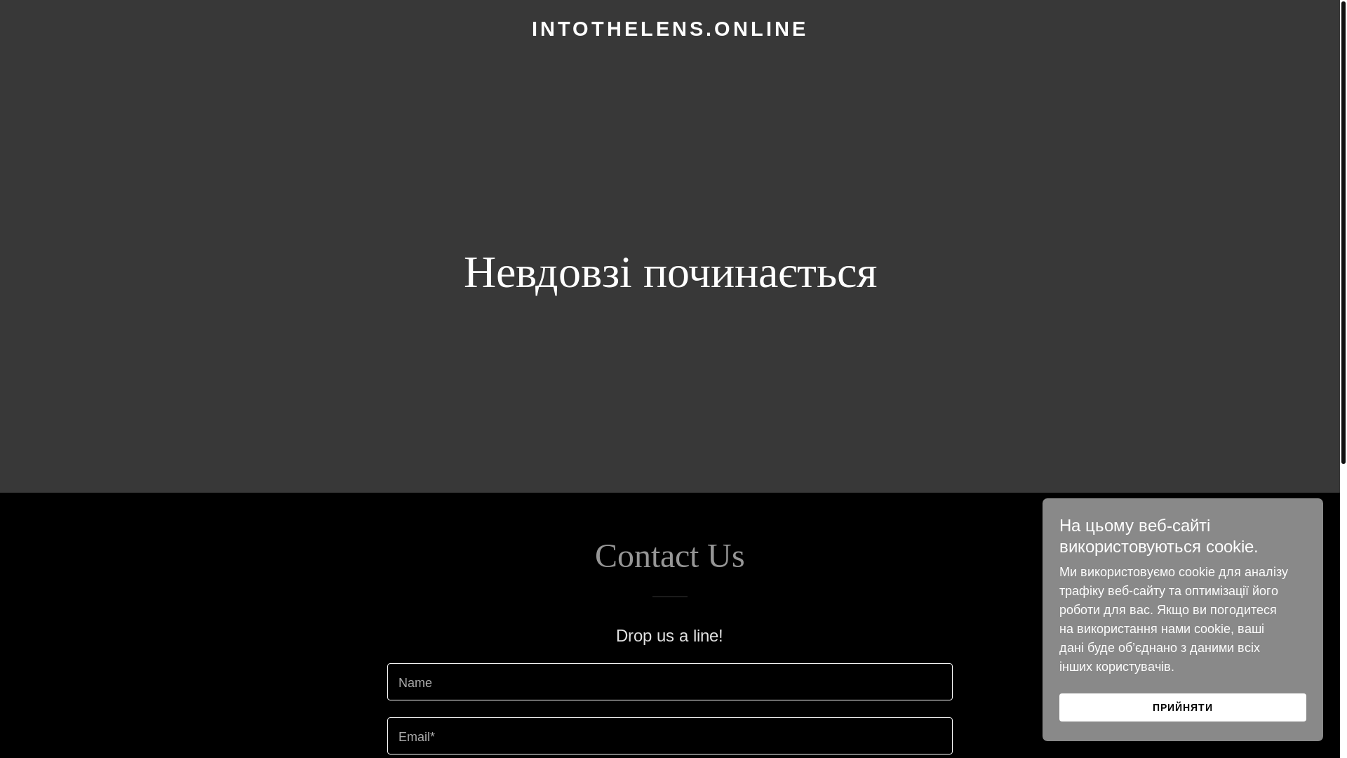 website screenshot of https://intothelens.online/