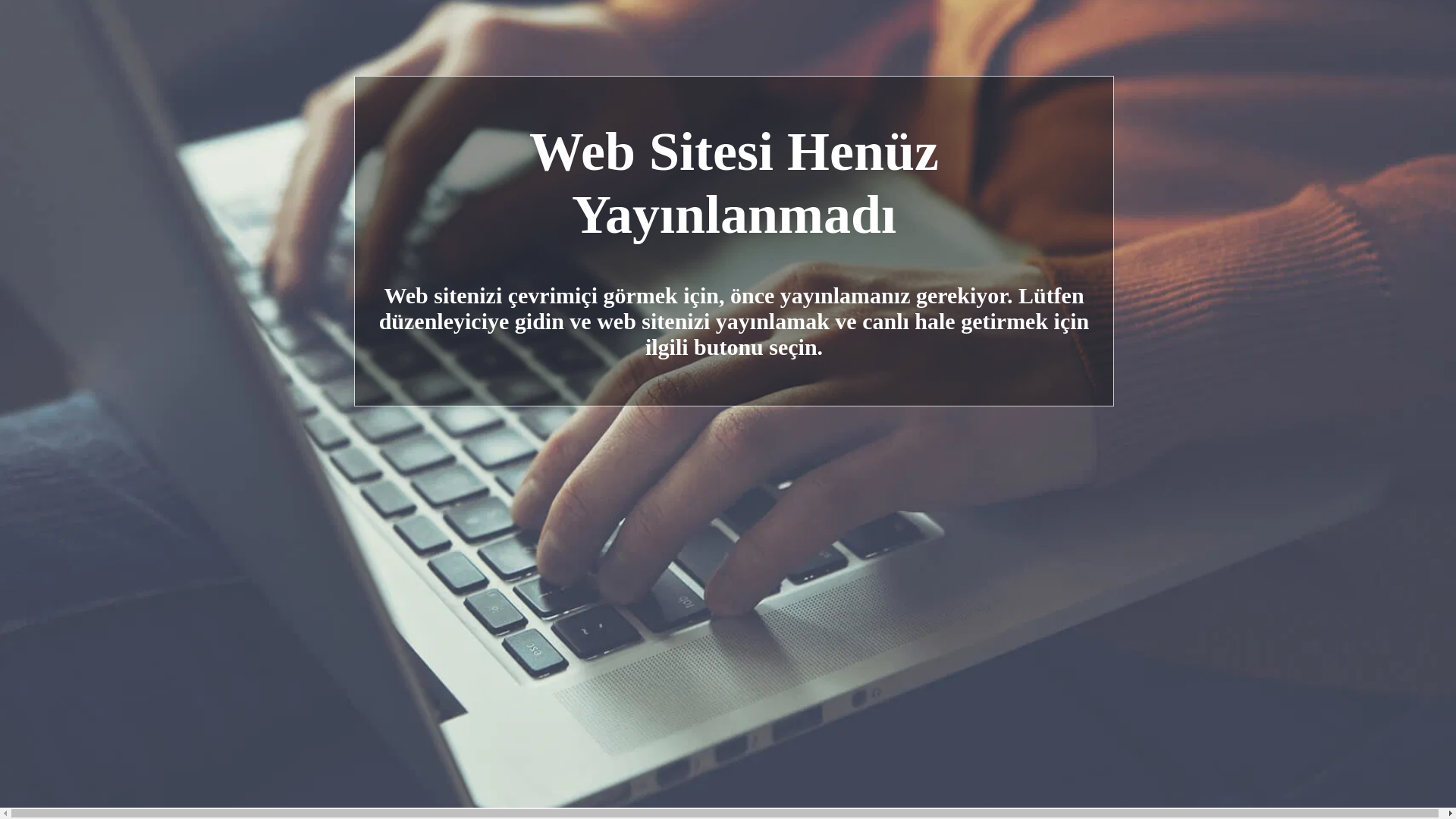 website screenshot of https://demir-saft-balans.com/