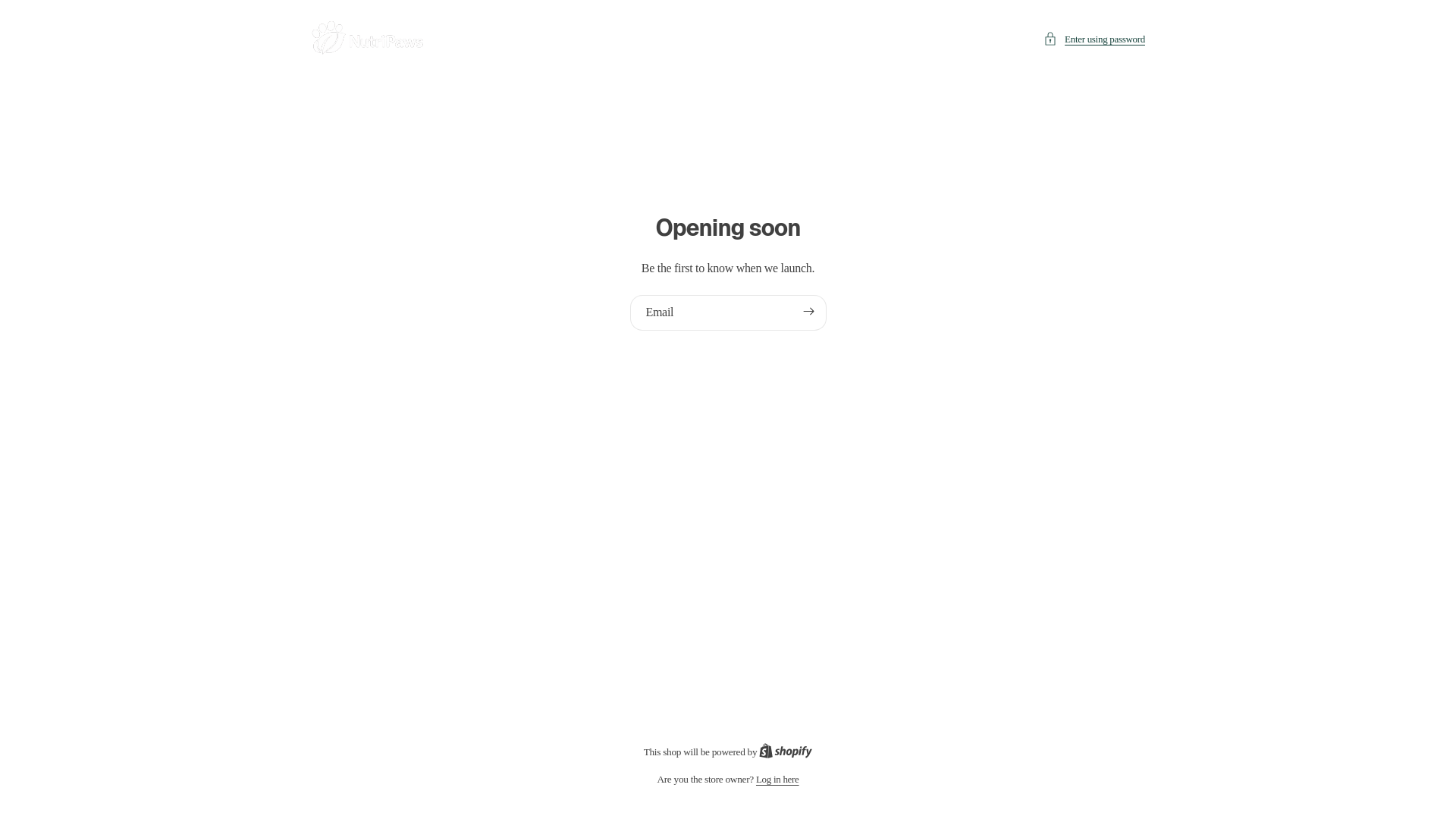 website screenshot of https://marrowandbone.co/