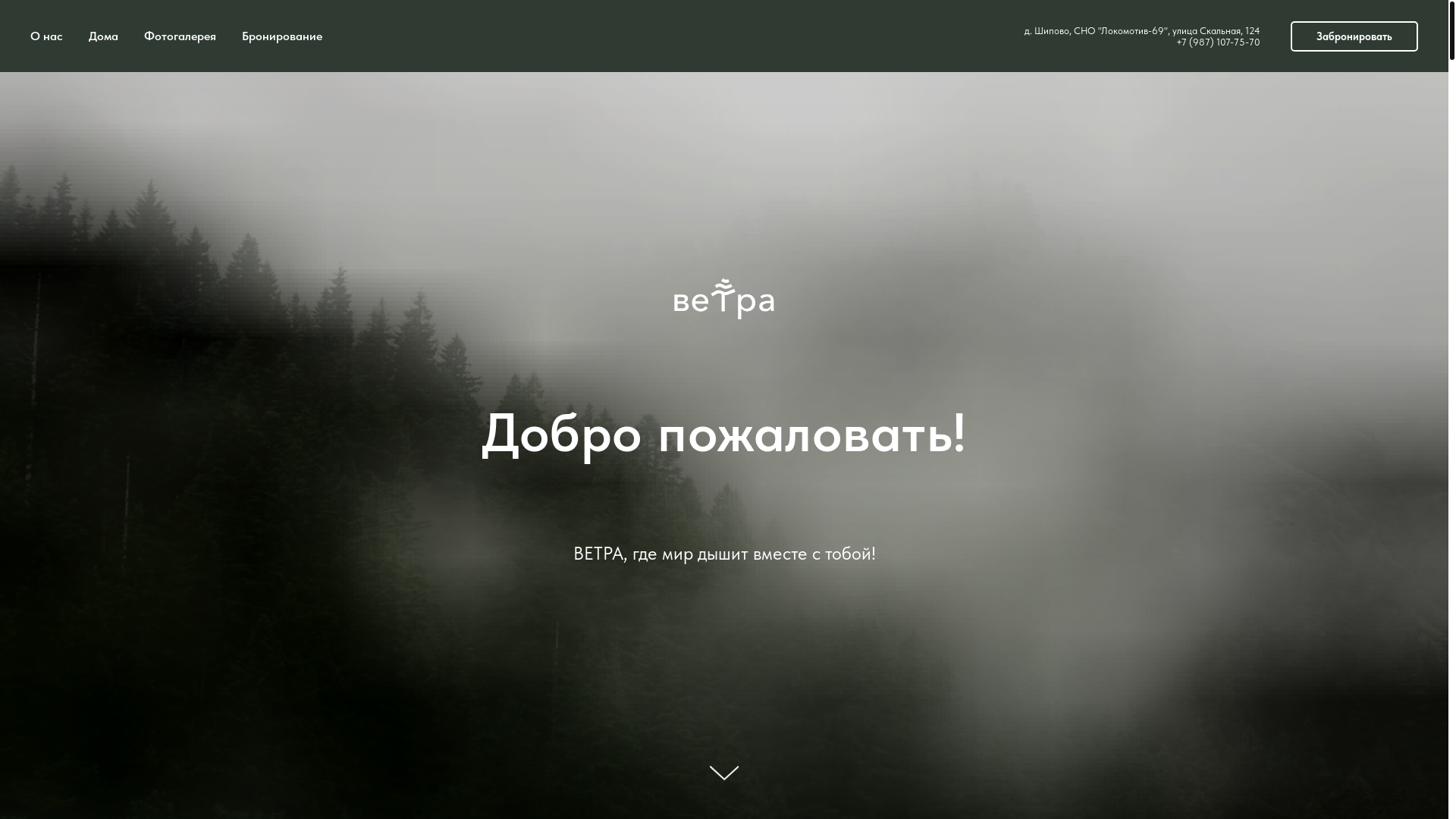 website screenshot of https://vetrahouse.ru/