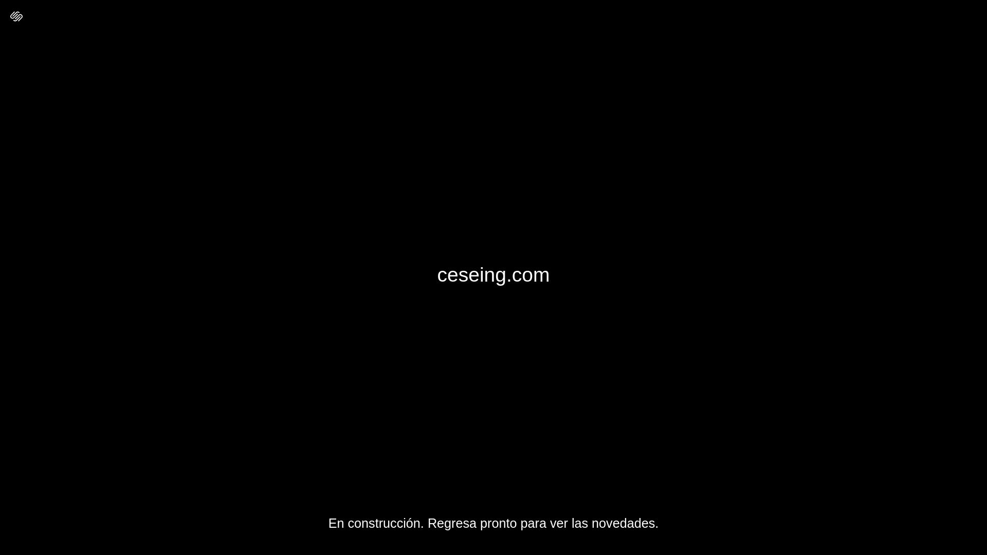 website screenshot of https://ceseing.com/