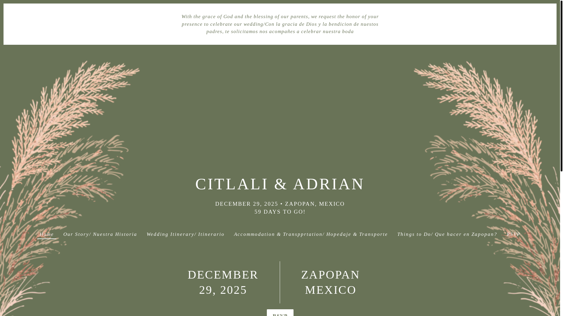website screenshot of https://citlali-adrian.com/