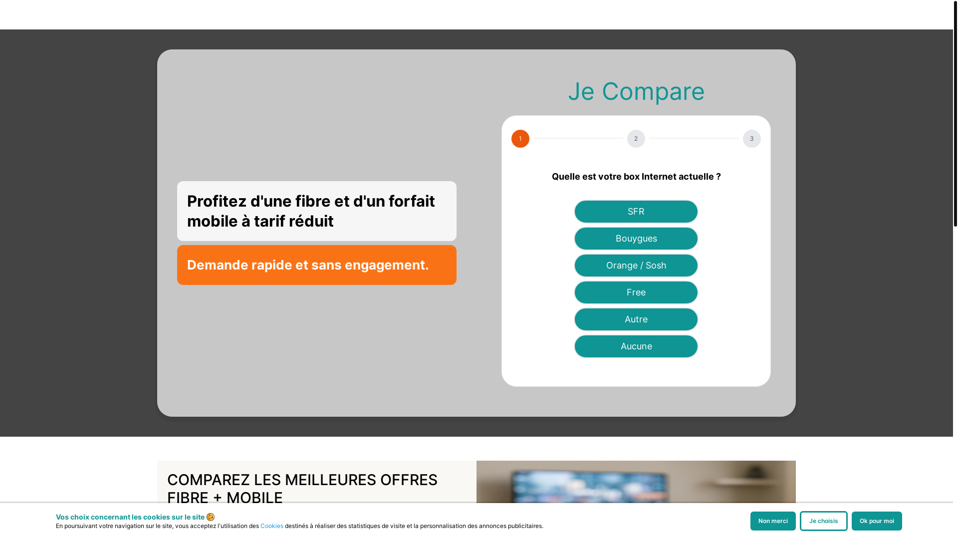 website screenshot of https://fibre-zen.fr/