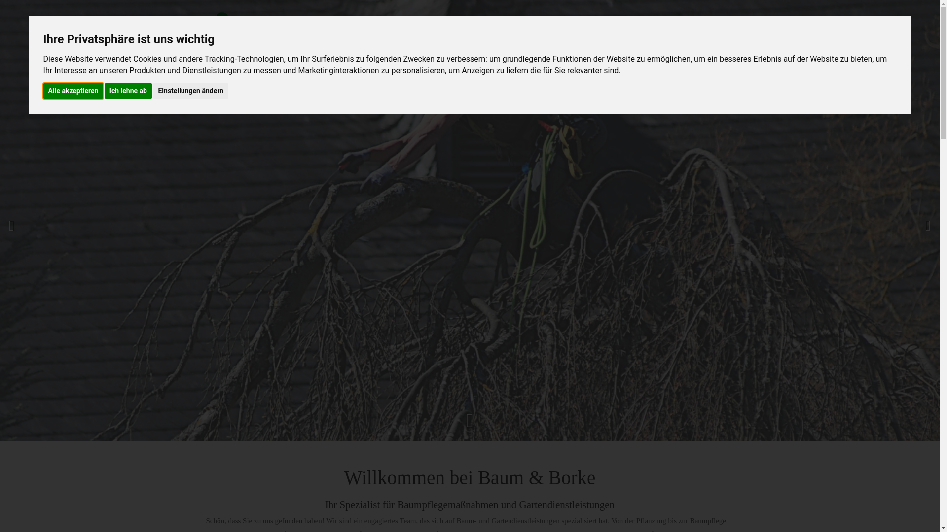 website screenshot of https://baumborke.org/