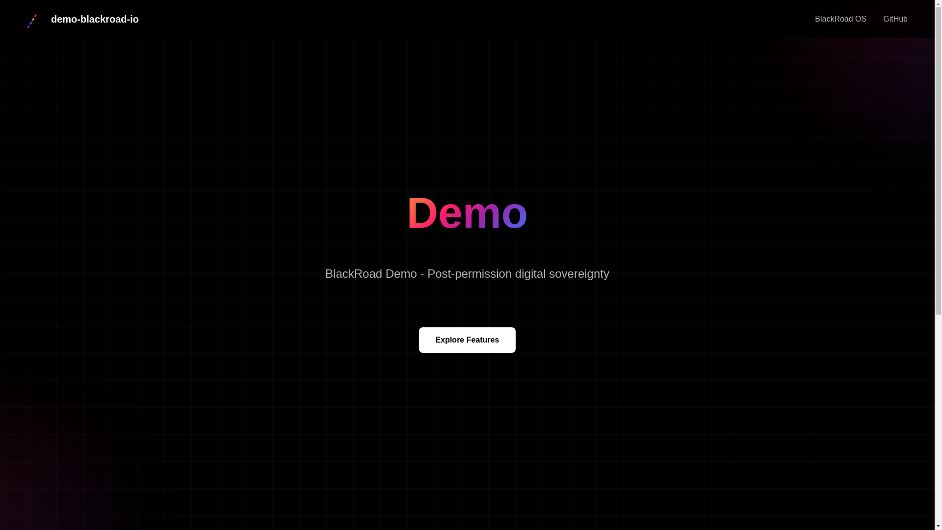 website screenshot of https://demo-blackroad-io.pages.dev/