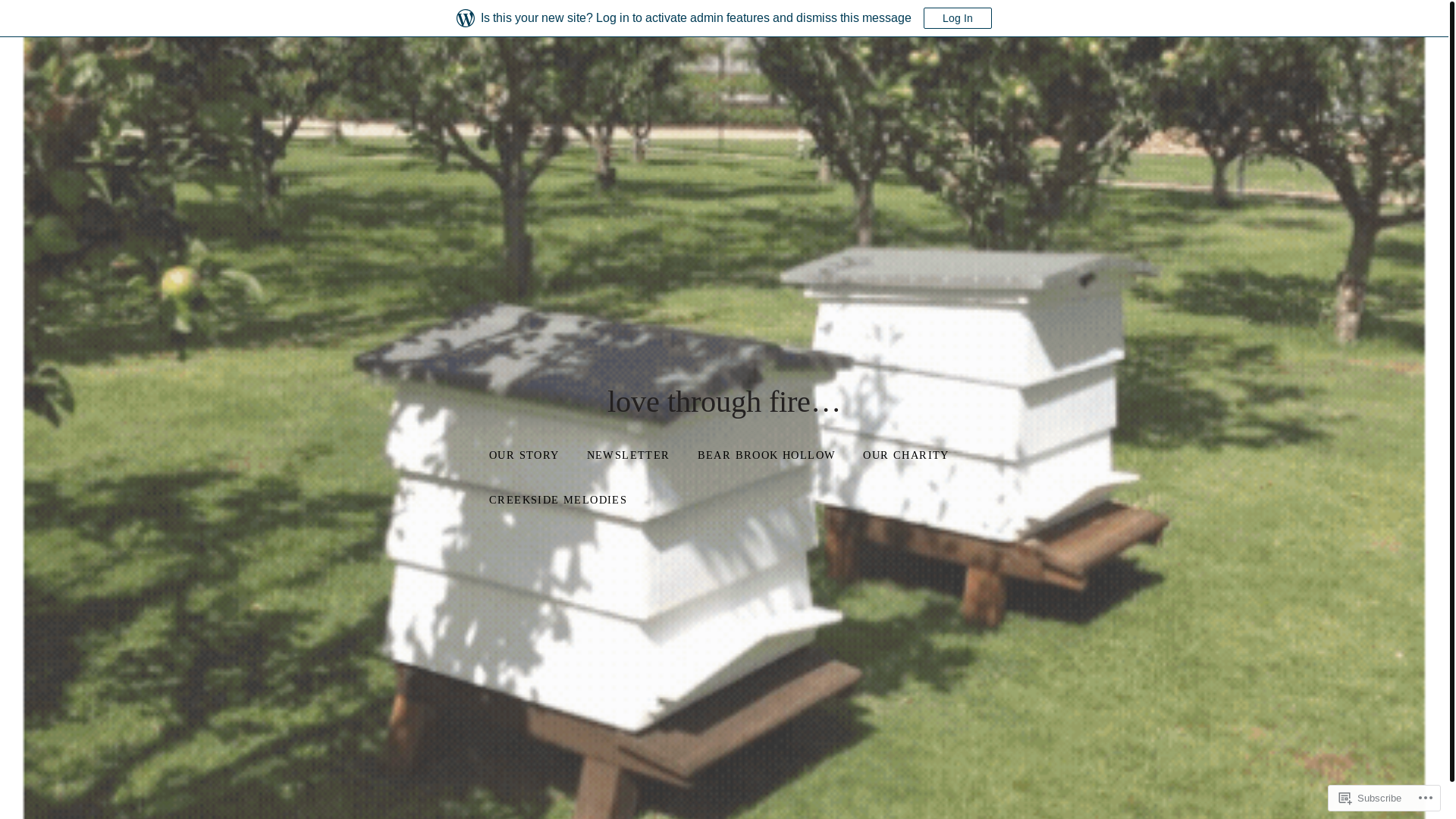 website screenshot of https://lovethroughfire.blog/