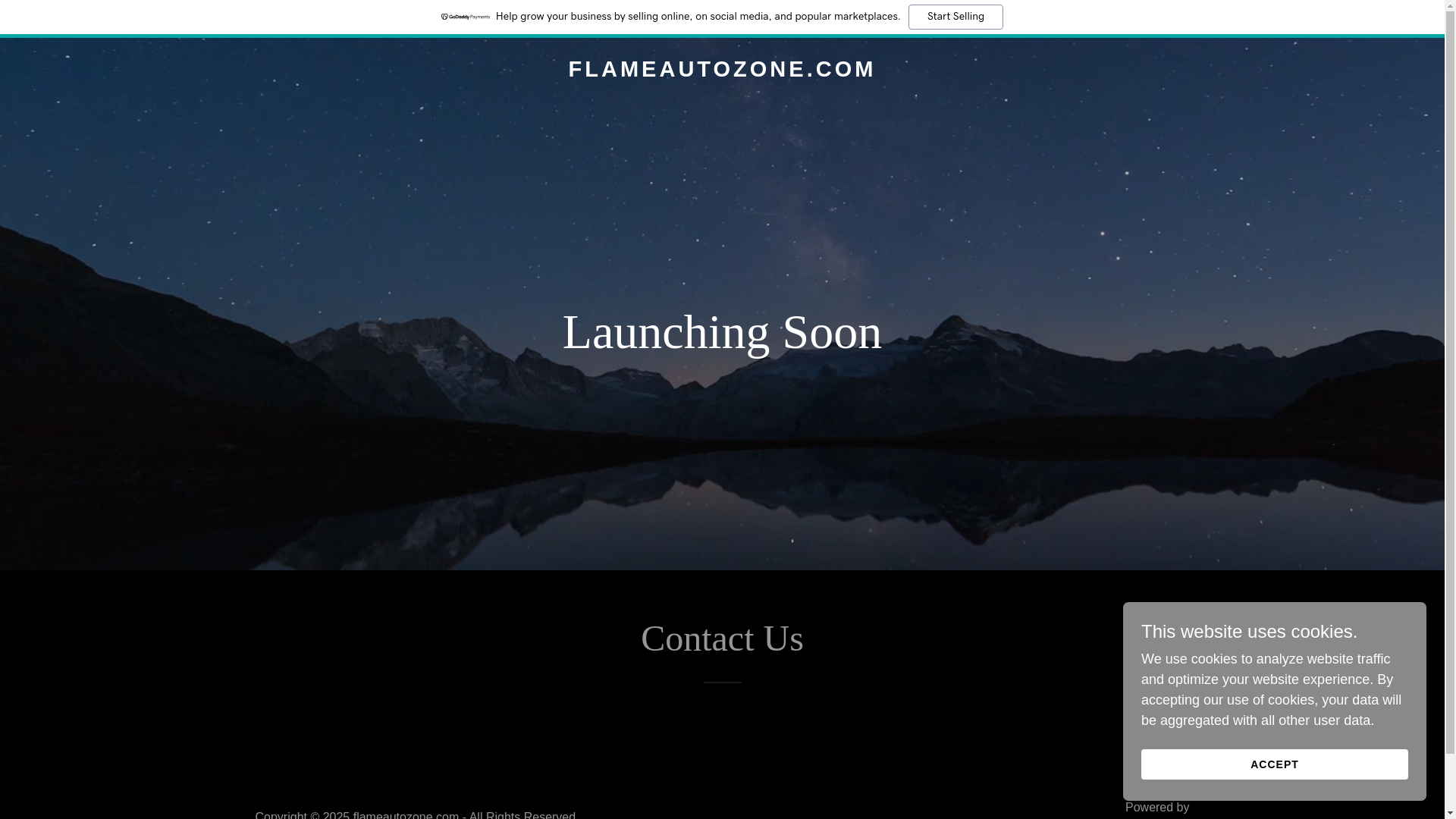 website screenshot of https://flameautozone.com/