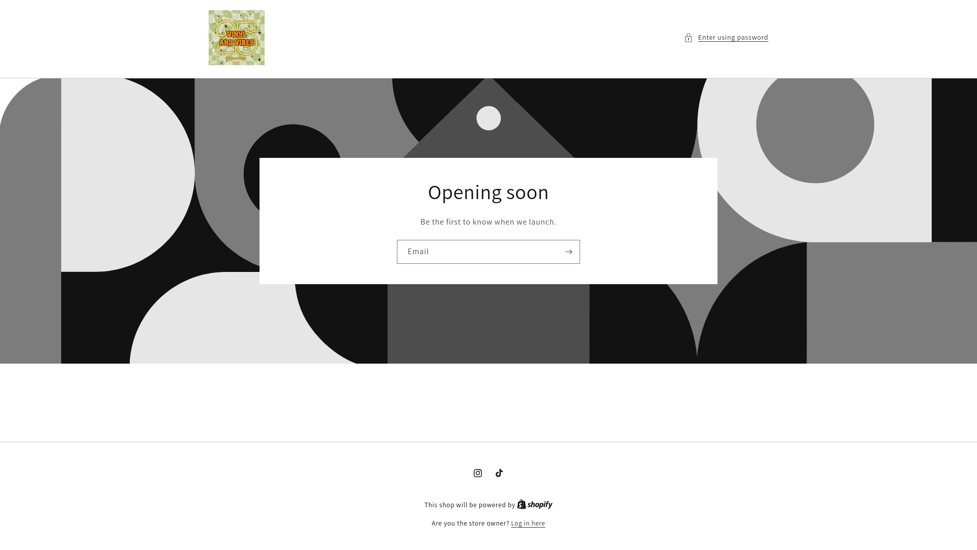 website screenshot of https://vinylandvibes25.com/