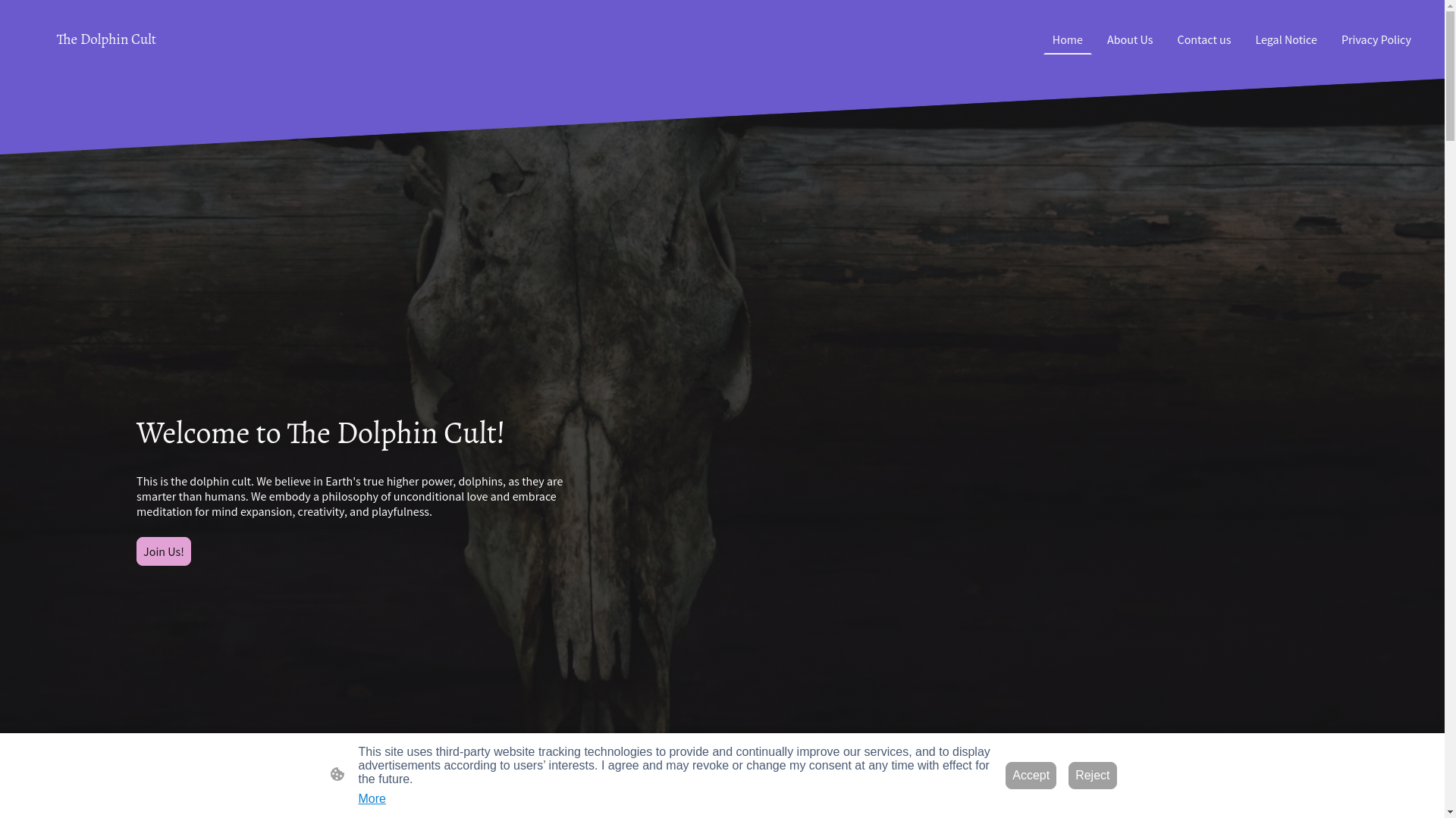 website screenshot of https://thedolphincult.com/