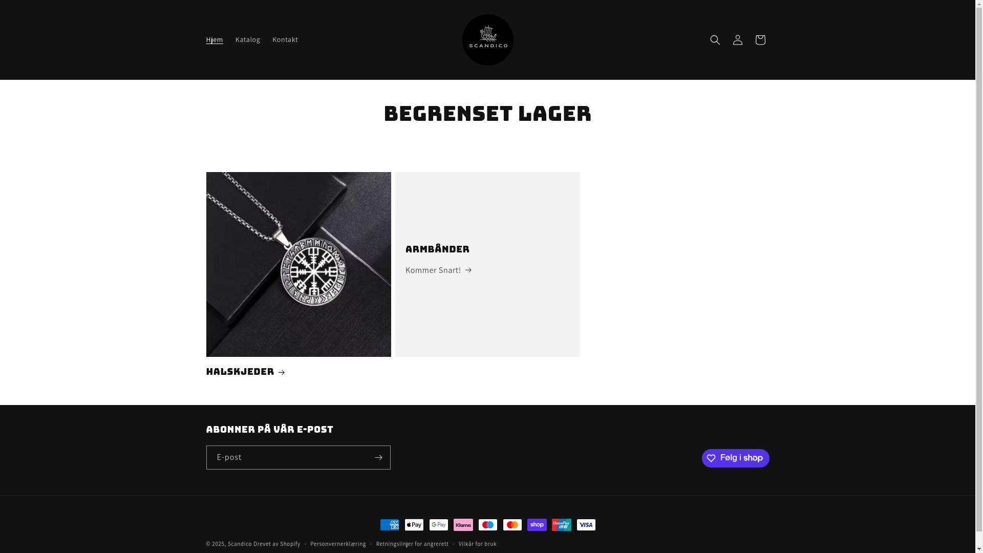website screenshot of https://scandico.shop/