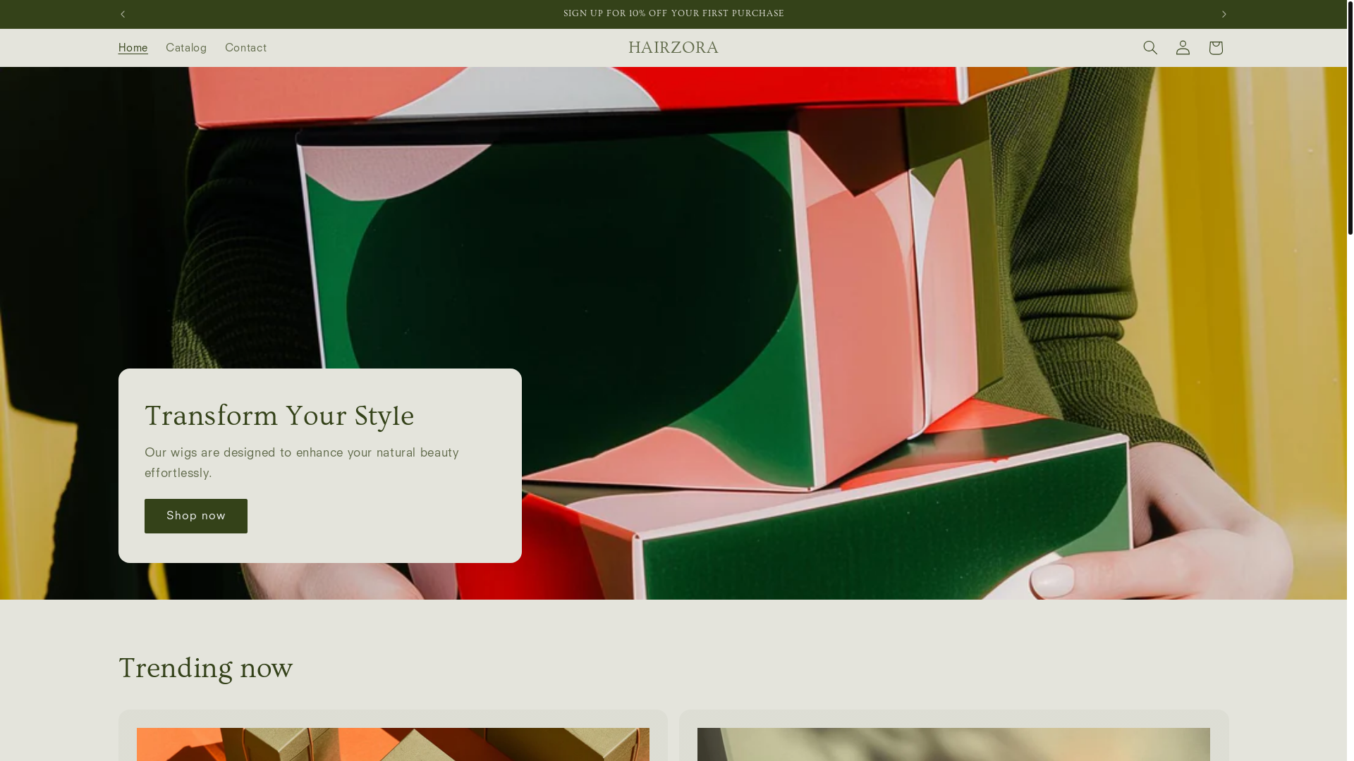 website screenshot of https://hairzora.com/