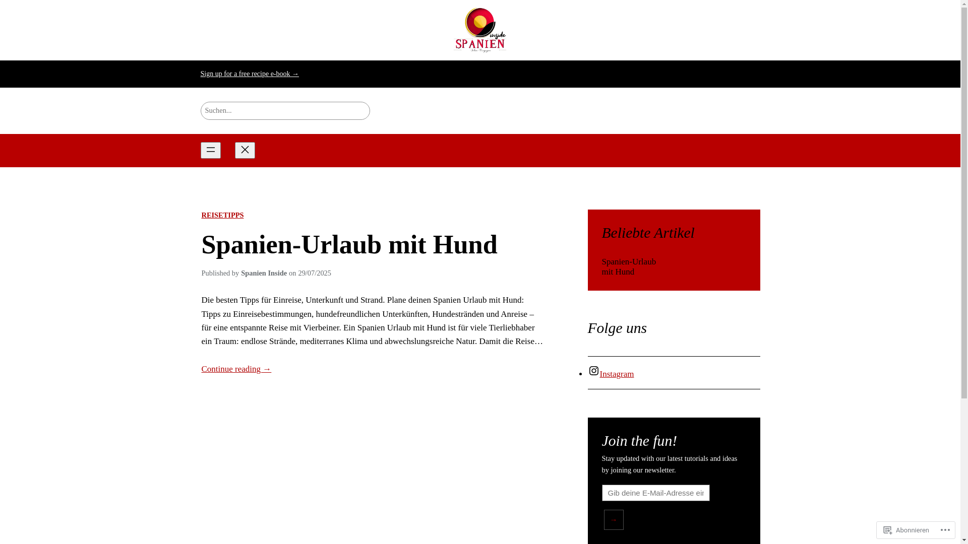 website screenshot of https://spanieninside.blog/