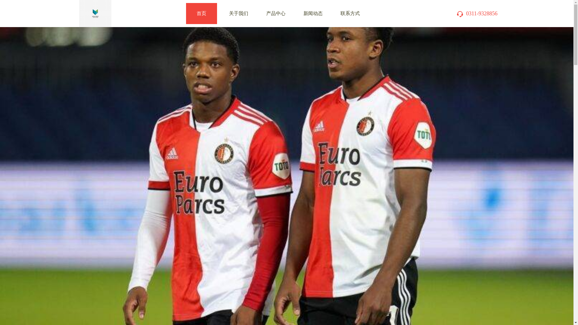 website screenshot of https://champion-tiy.com/