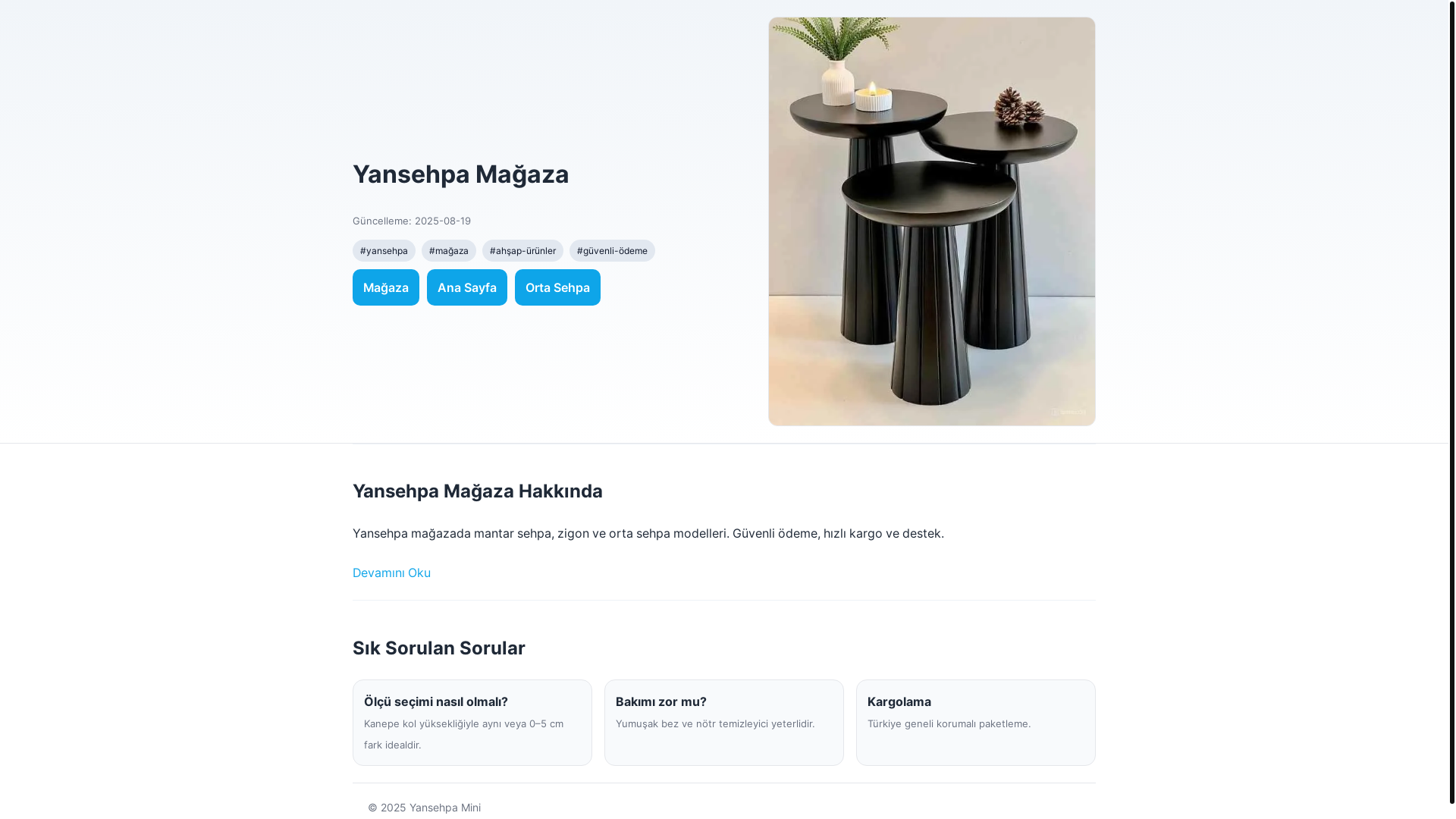 website screenshot of https://magaza.pages.dev/