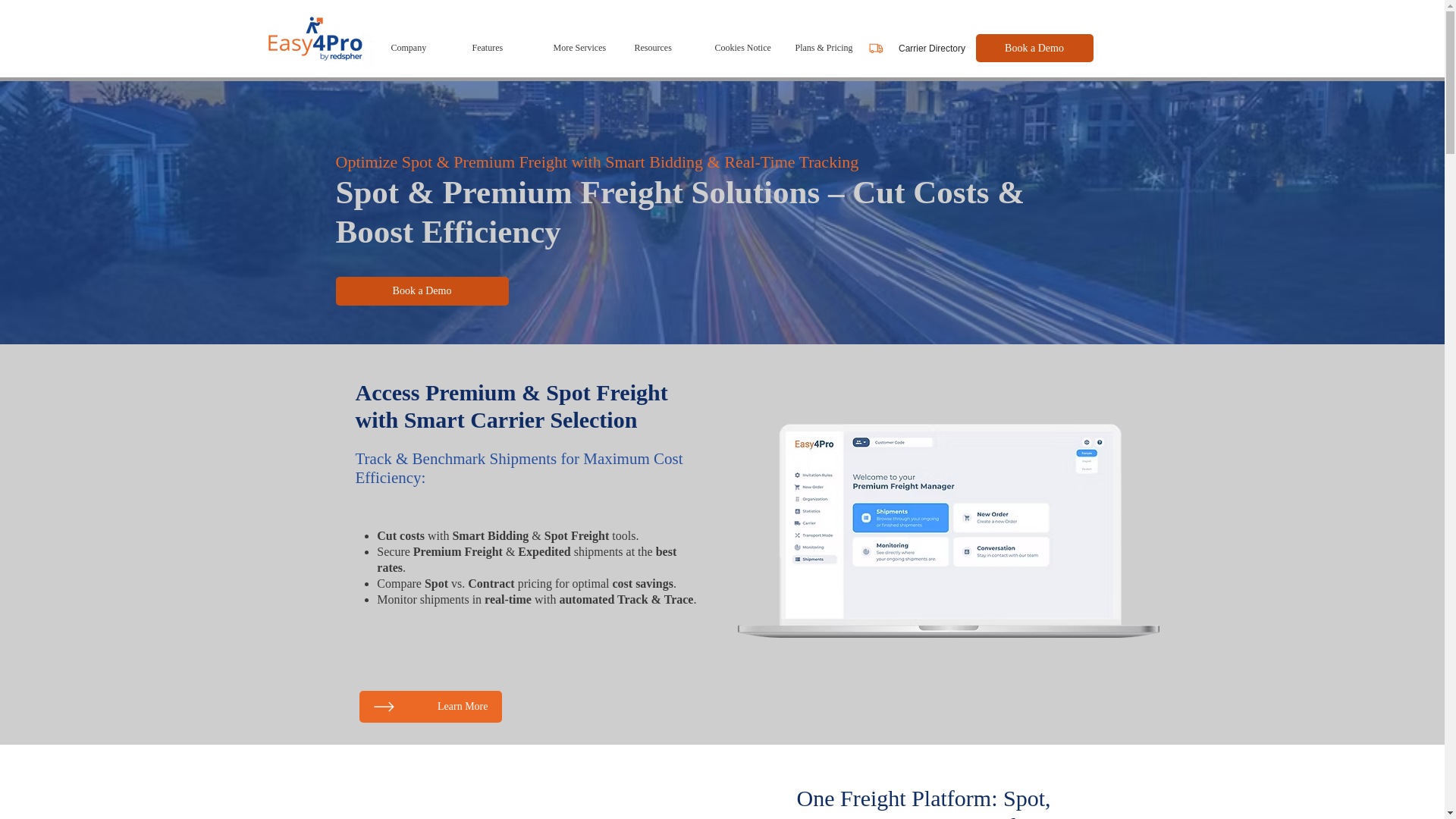 website screenshot of https://addeasy4pro.info/
