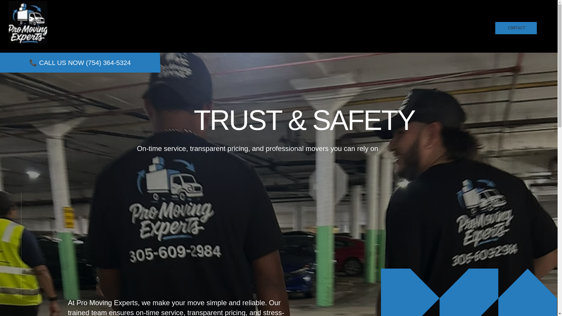 website screenshot of https://promovingexpertsfl.com/