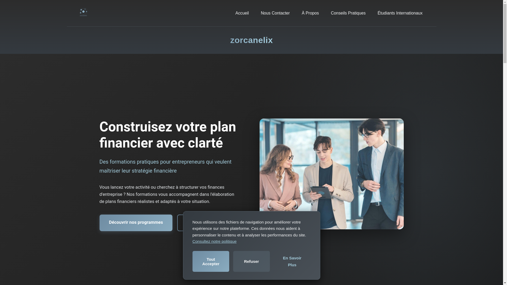 website screenshot of https://zorcanelix.com/