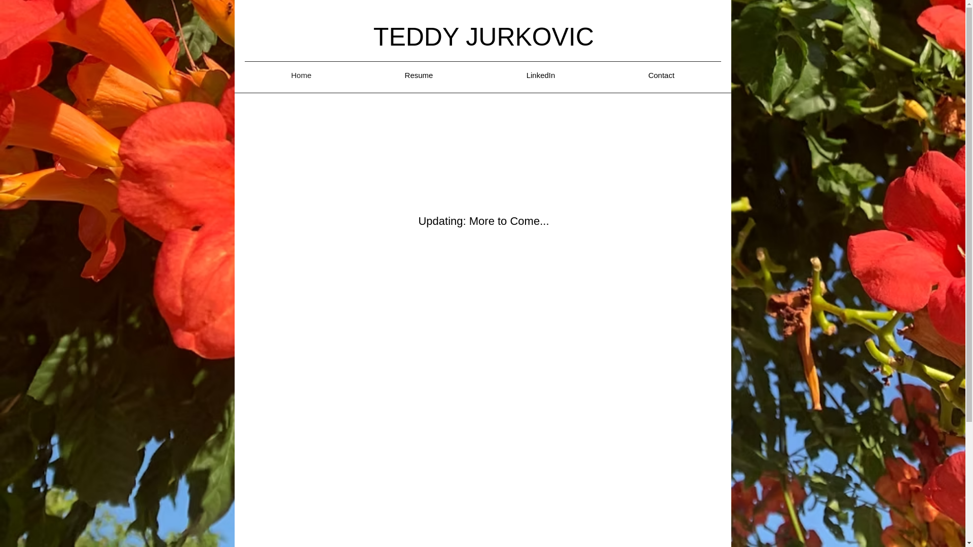 website screenshot of https://teddy-jurkovic.com/