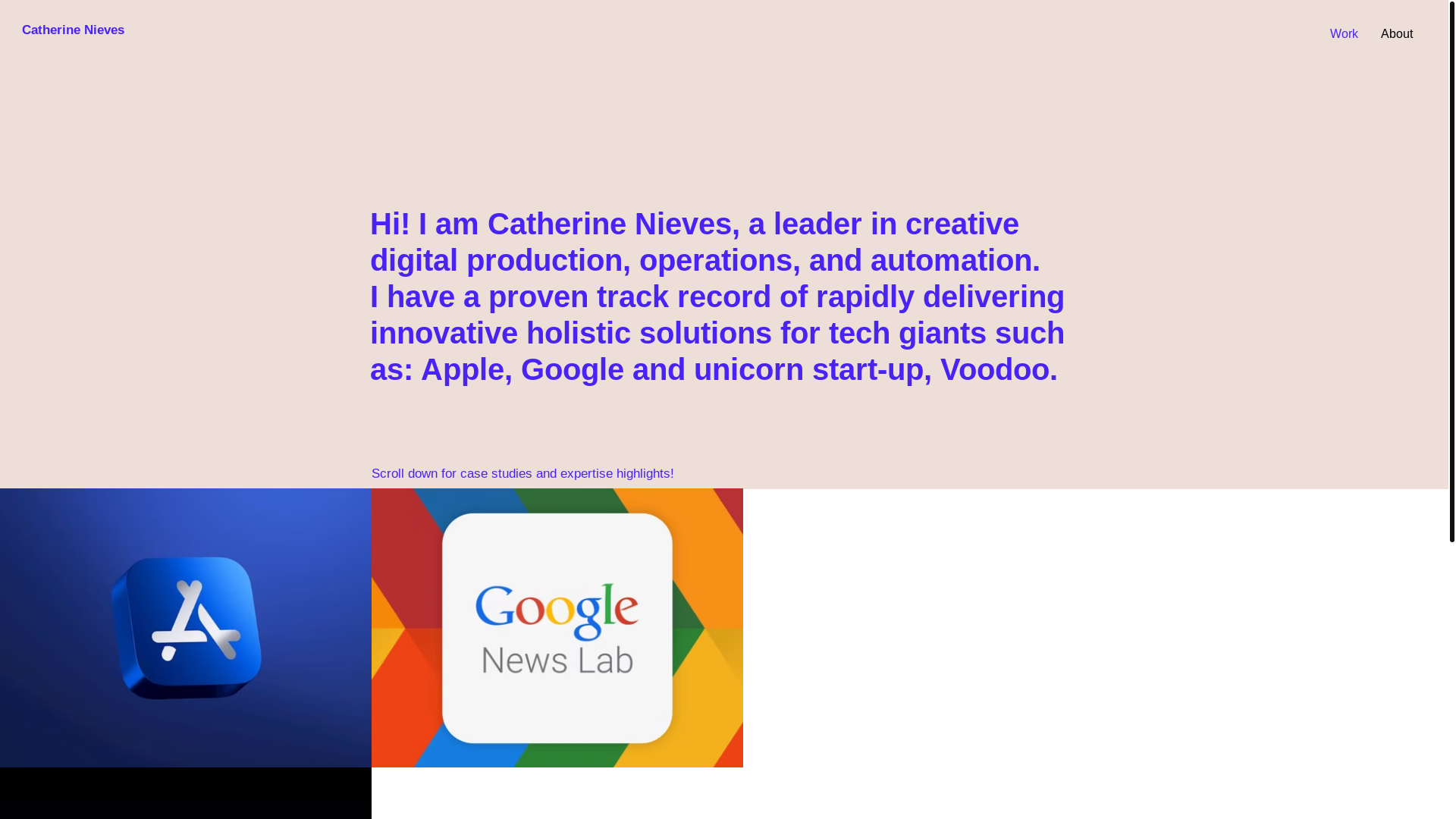 website screenshot of https://catnievesproductions.com/