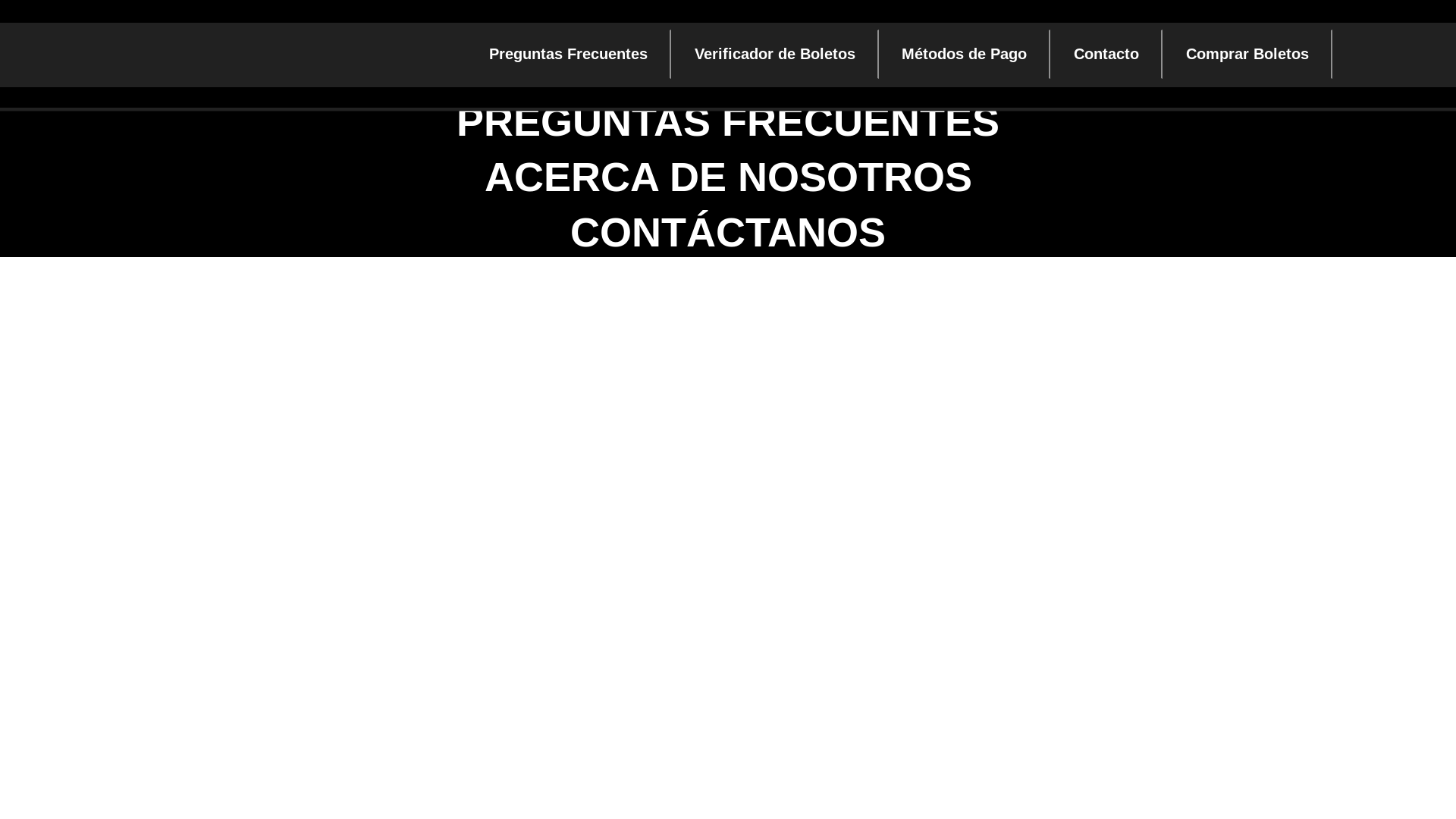 website screenshot of https://rifasysorteosmejia.com/