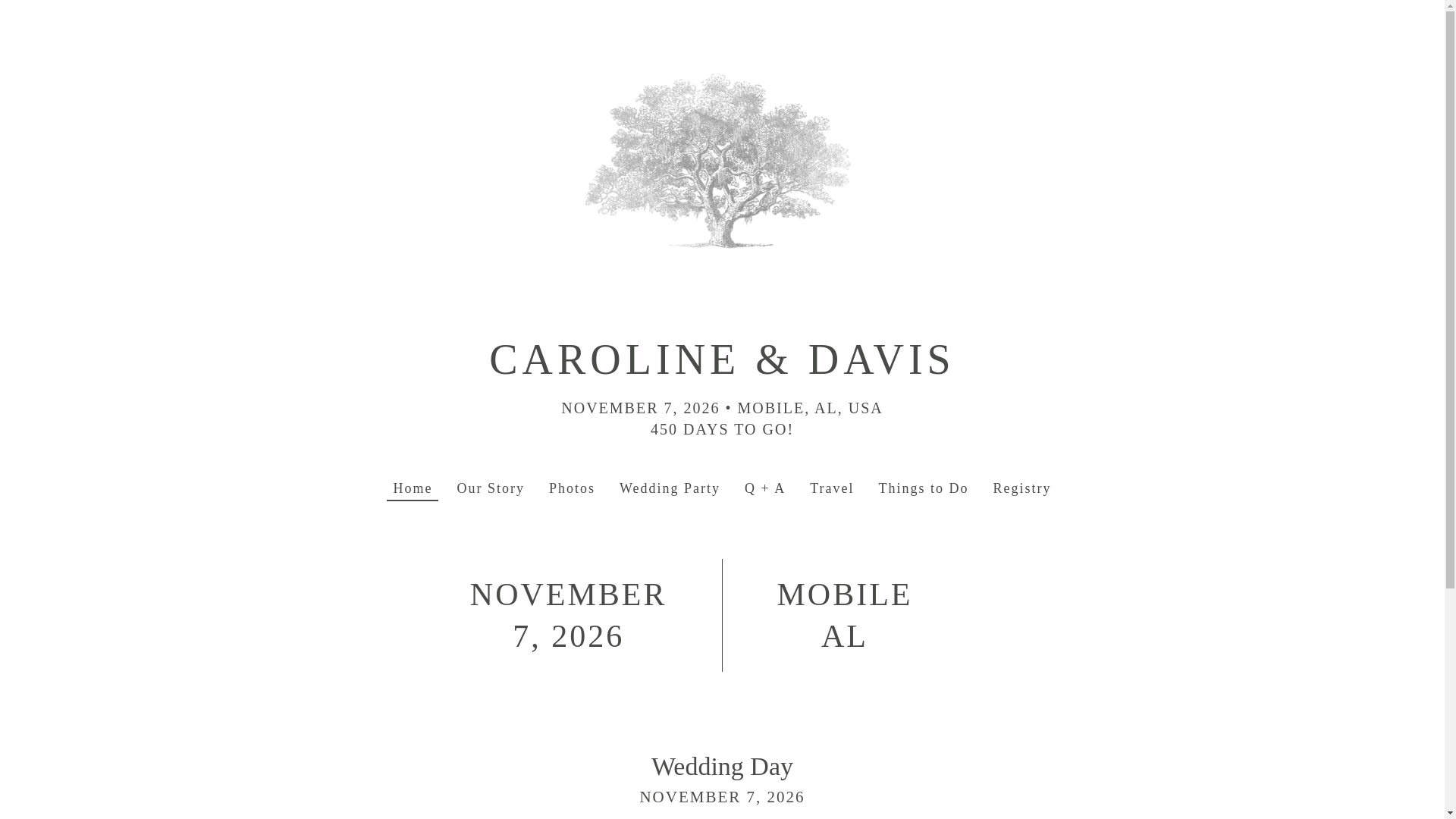 website screenshot of https://carolineanddavis.us/