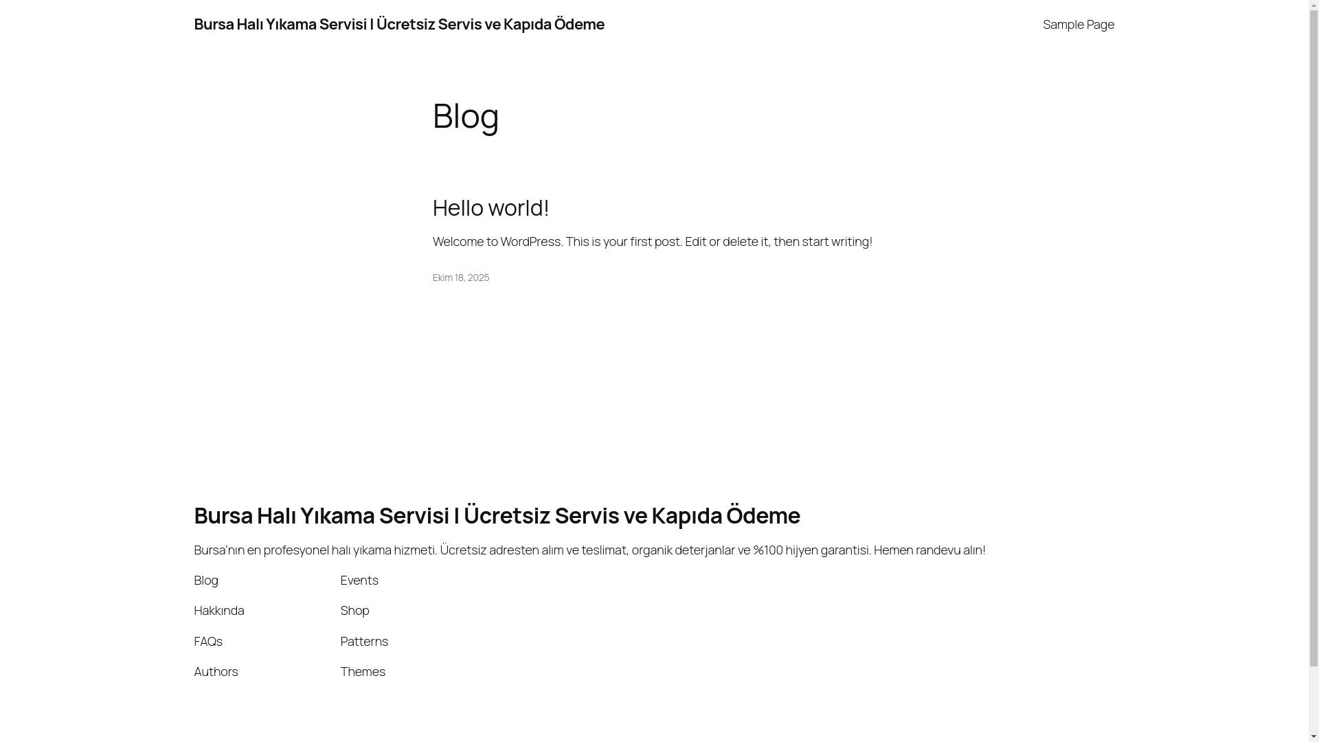 website screenshot of https://bursahaliyikamaservisi.com/