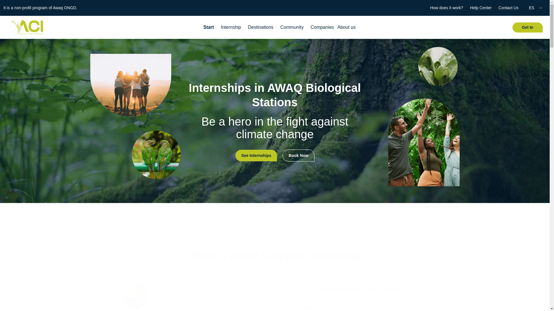 website screenshot of https://aci-frontend.pages.dev/