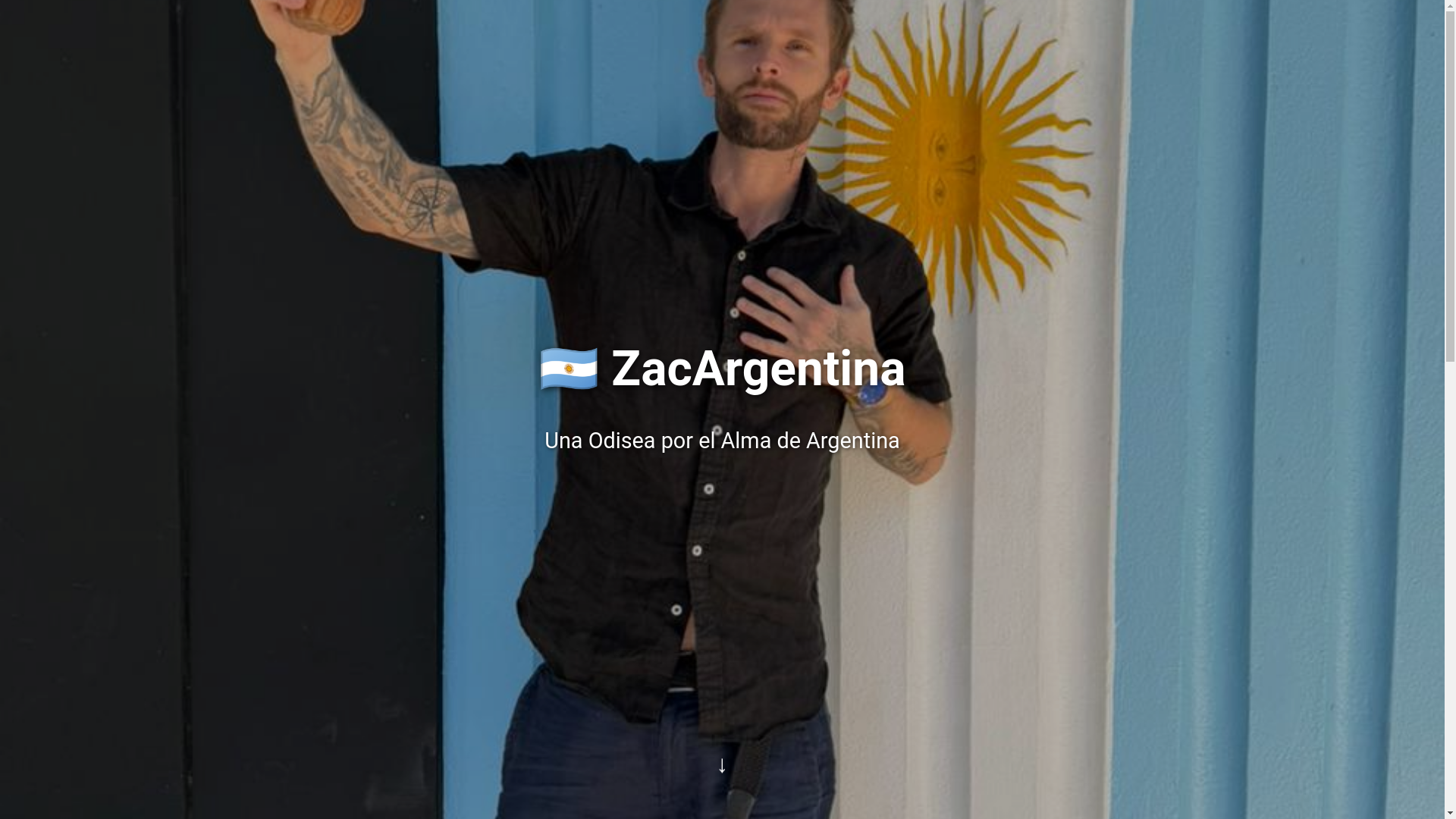 website screenshot of https://zacargentina.com/