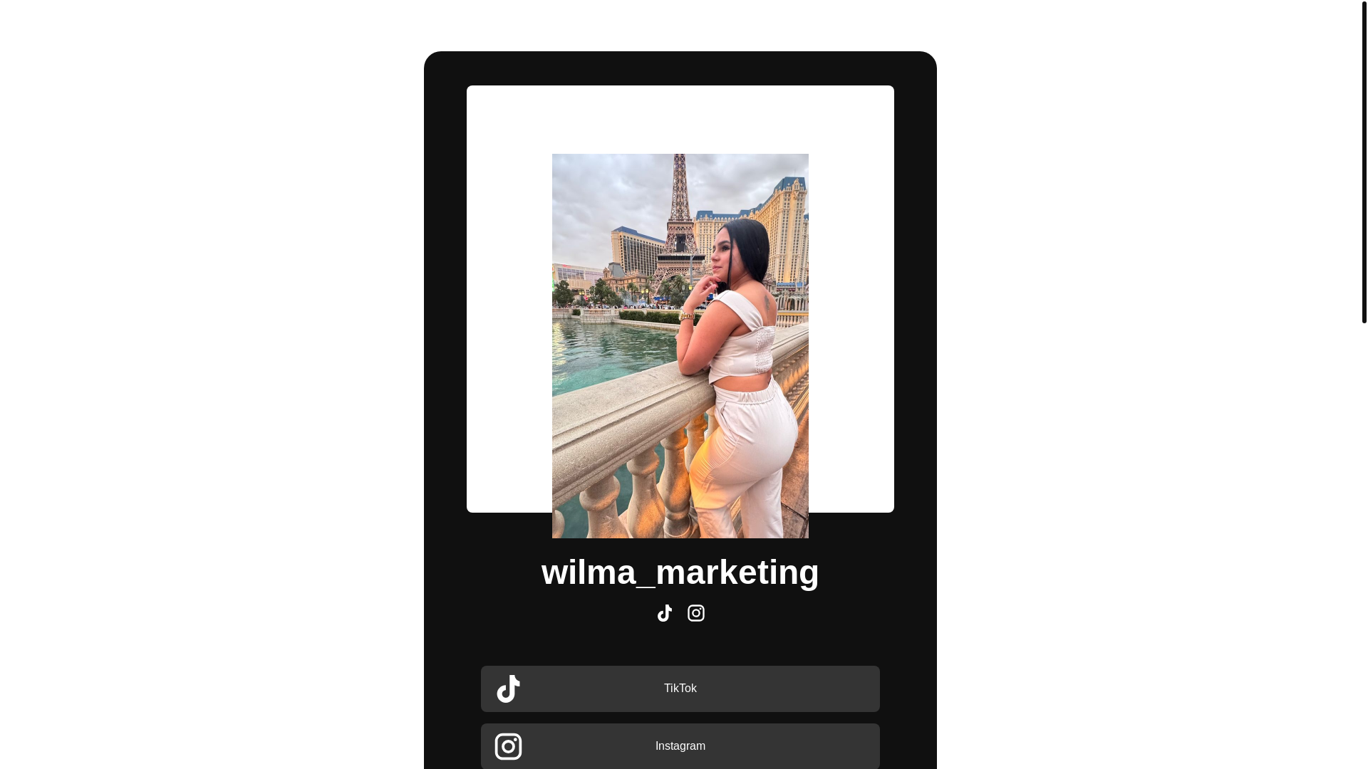 website screenshot of https://wilmamarketing.bio/