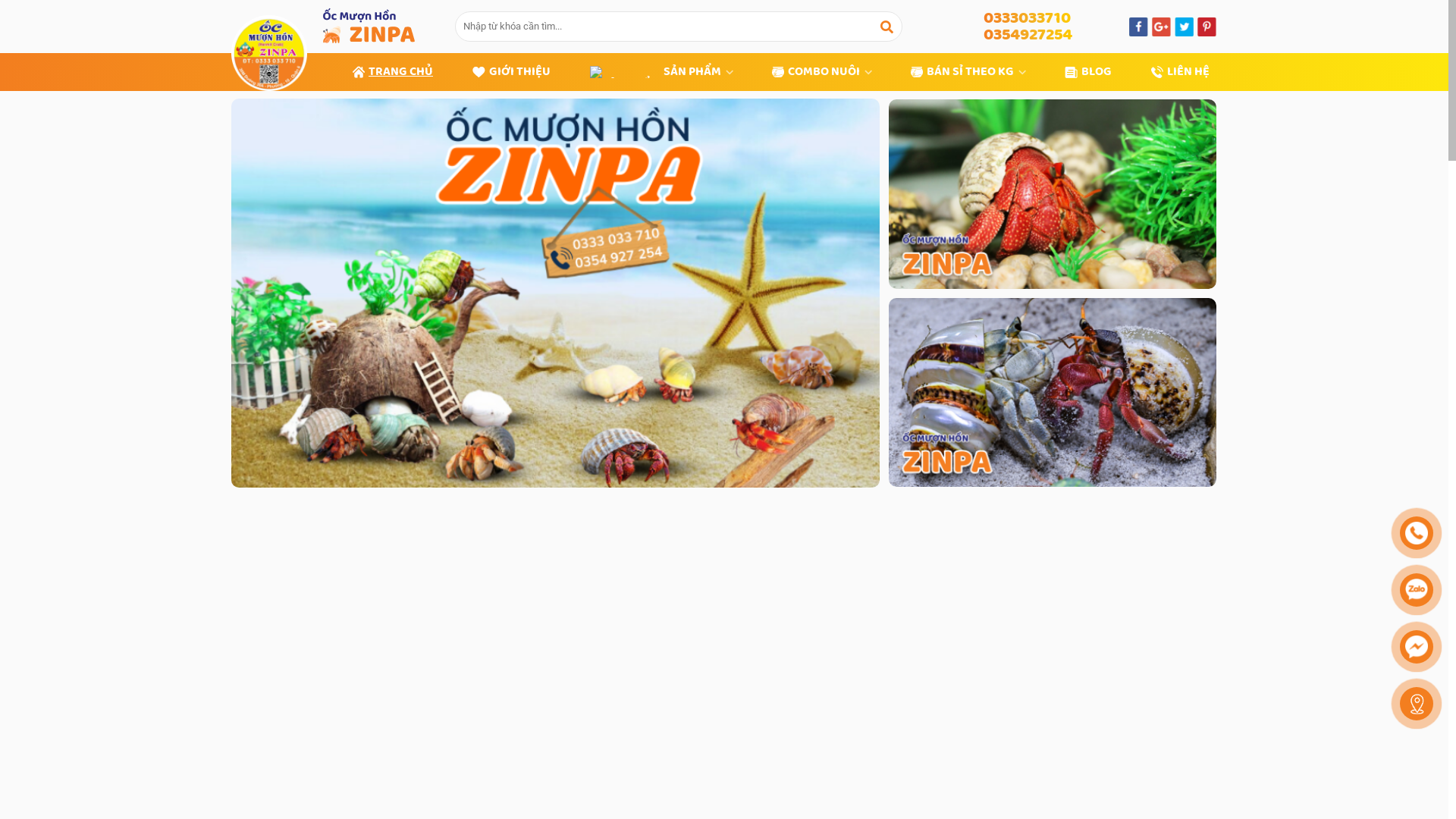 website screenshot of https://ocmonhonzinpahcm.com/