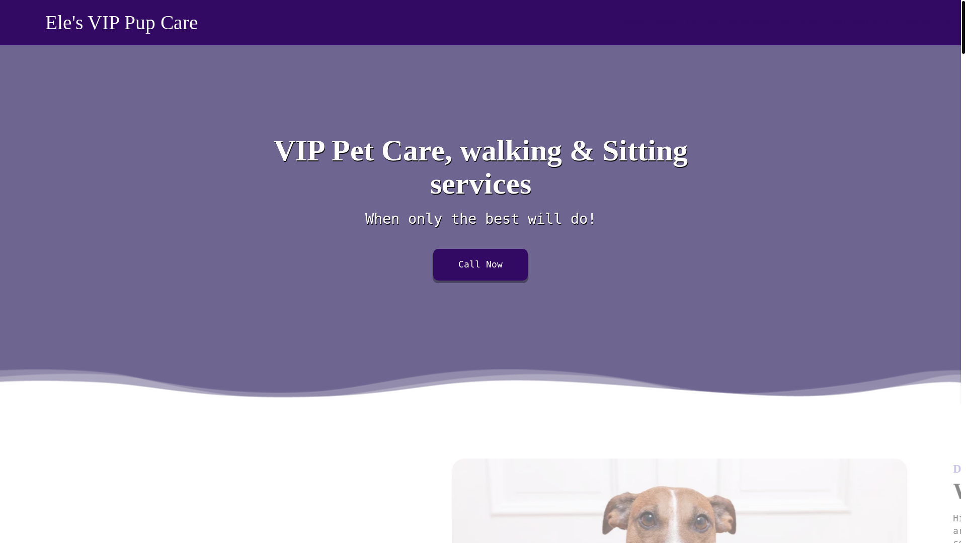 website screenshot of https://elesvippupcare.com/
