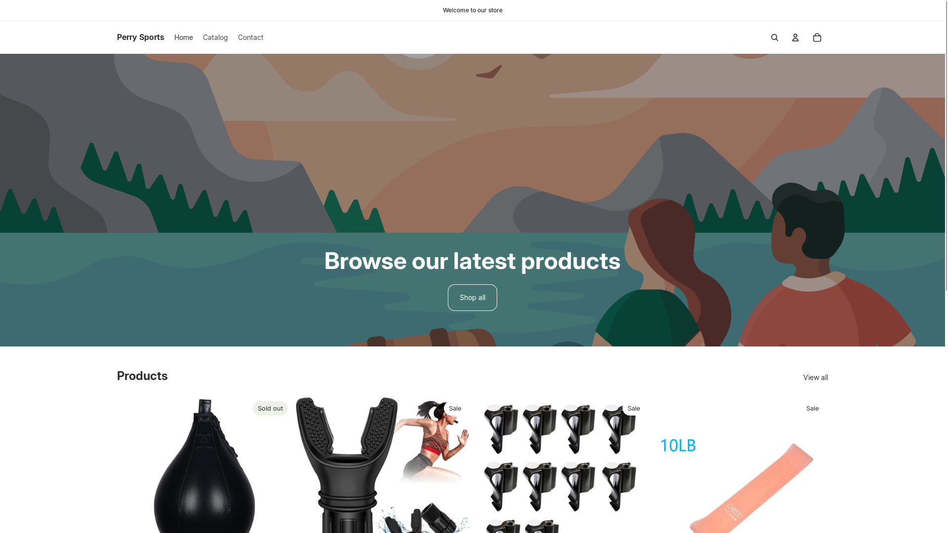 website screenshot of https://perrysports.store/