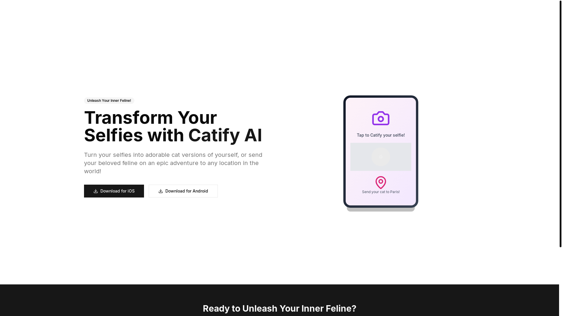 website screenshot of https://catifyai.com/