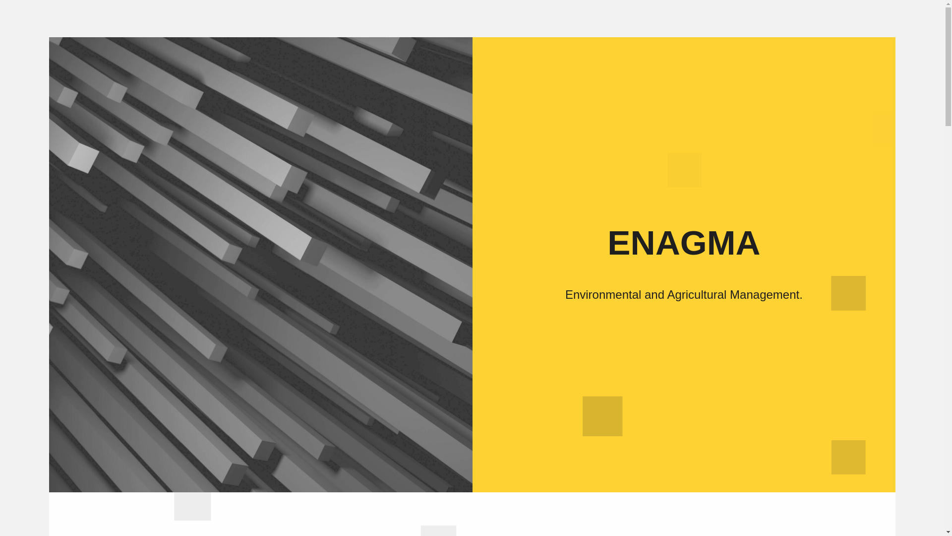 website screenshot of https://enagma.com/