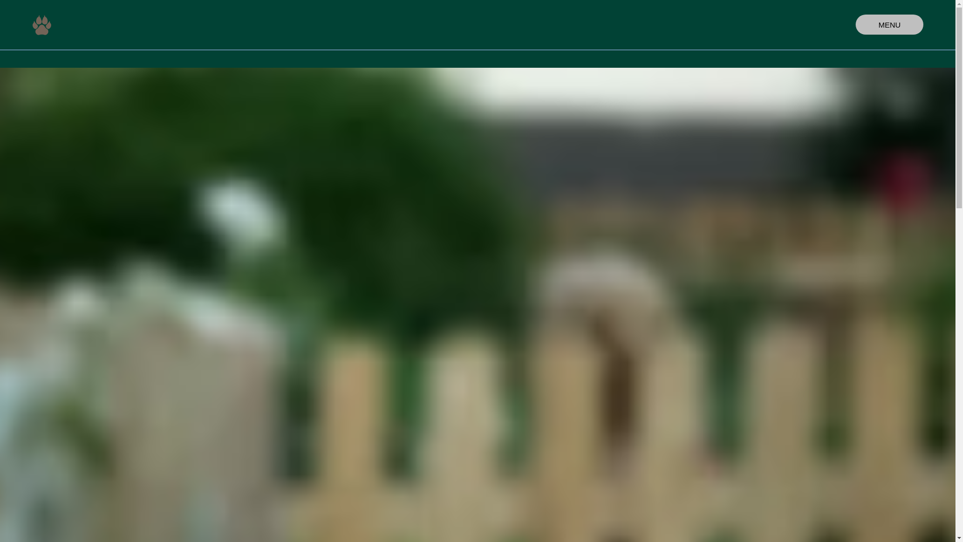 website screenshot of https://bloomandbarklv.com/