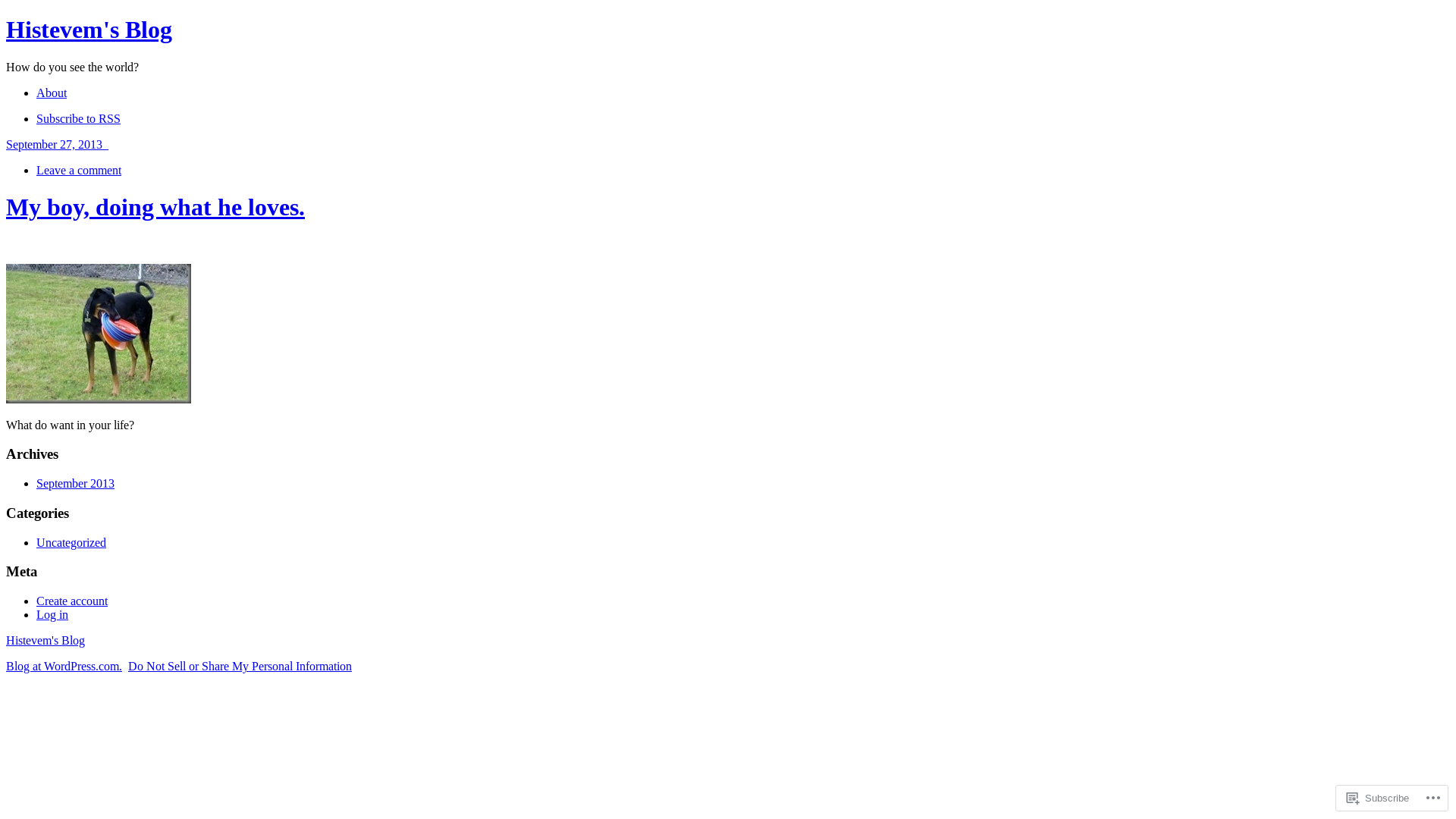 website screenshot of https://histevem.com/